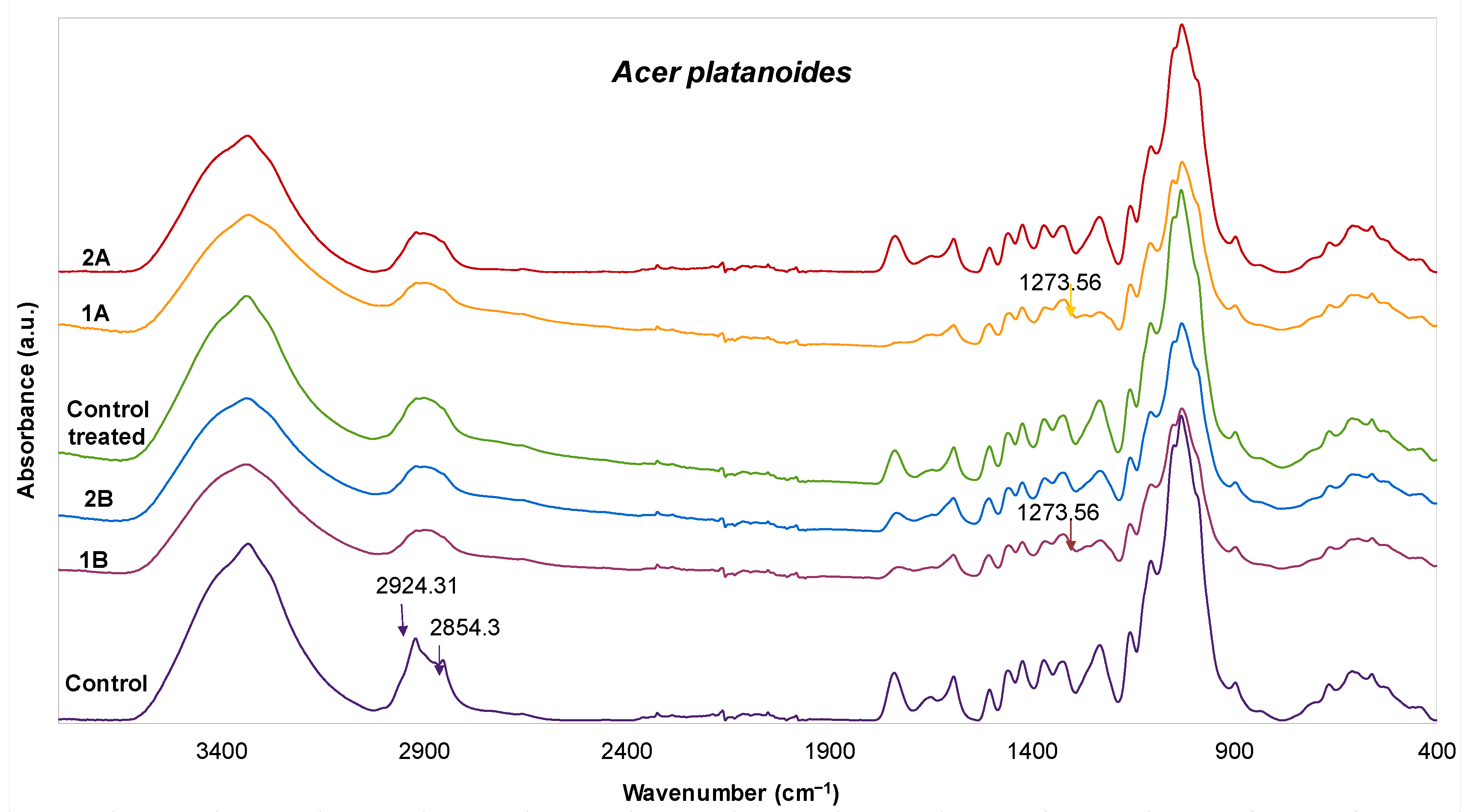 Forests 12 01771 g002