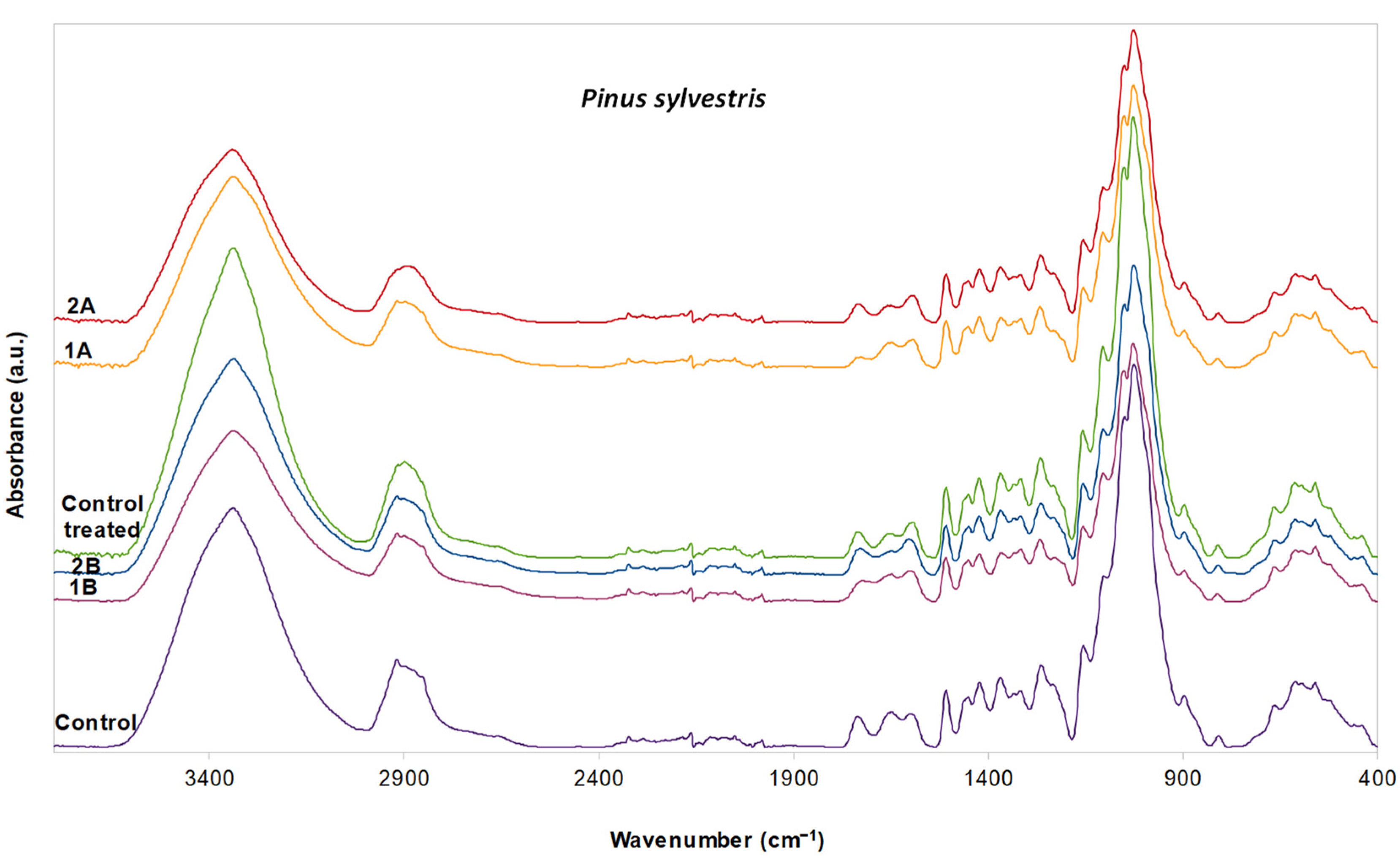 Forests 12 01771 g006
