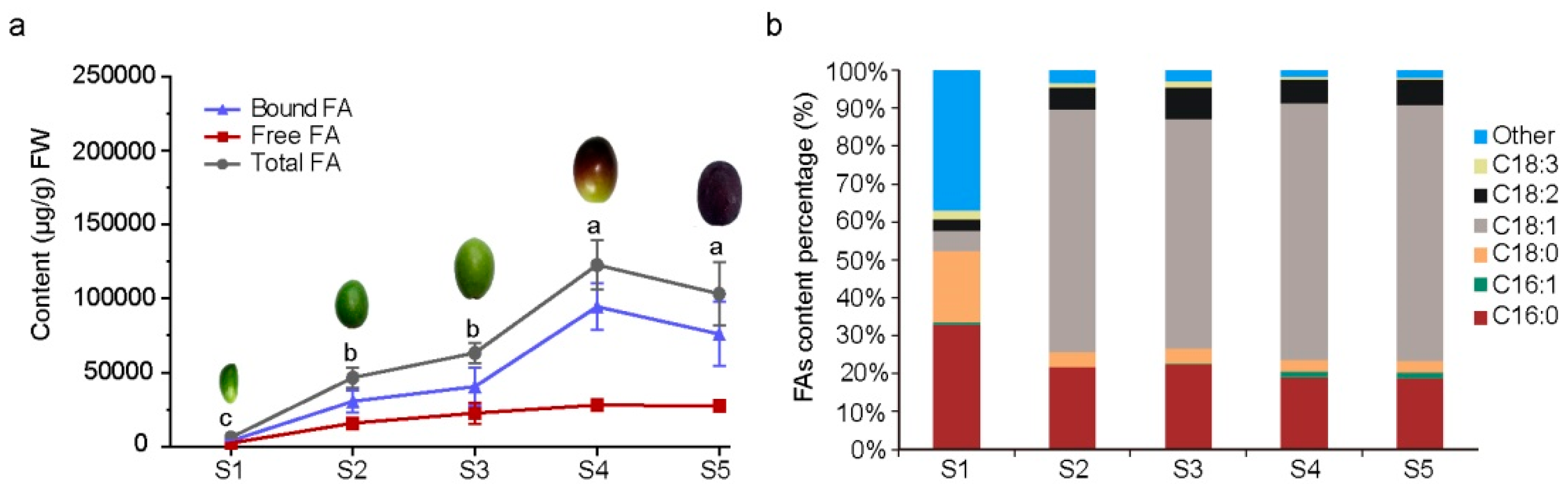 Forests 12 01773 g001