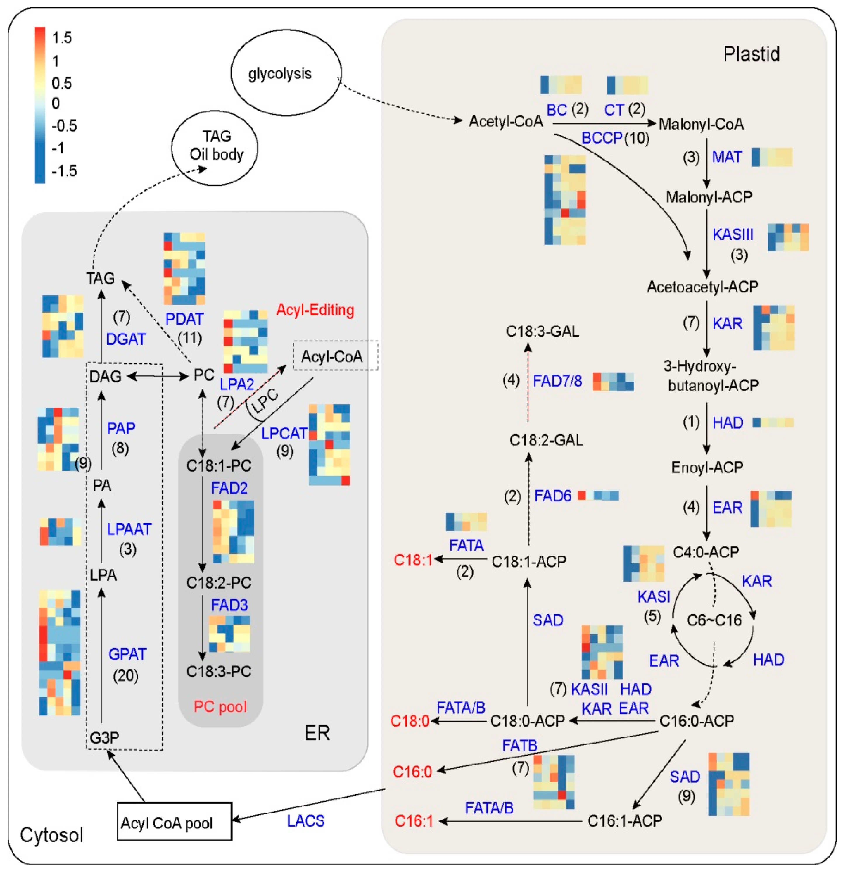 Forests 12 01773 g005