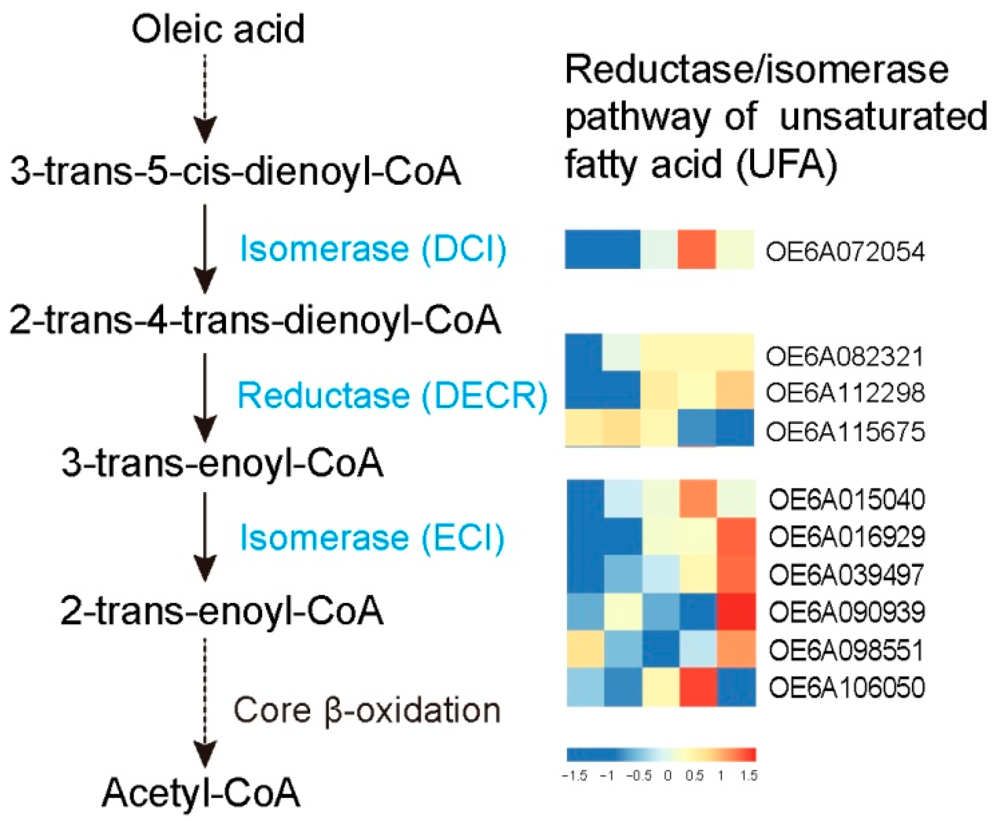 Forests 12 01773 g007