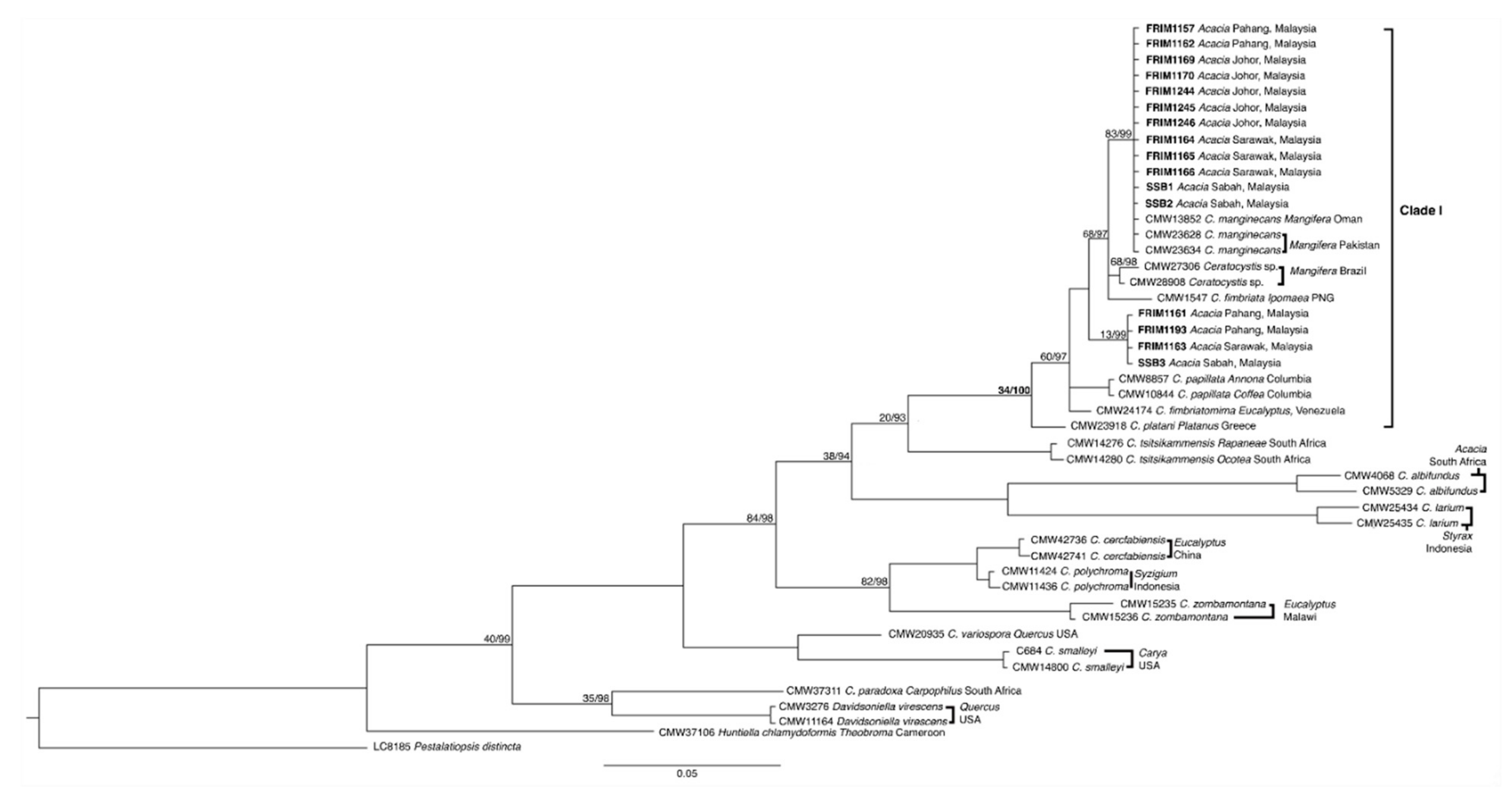 Forests 12 01782 g003 Forests 12 01782 g003