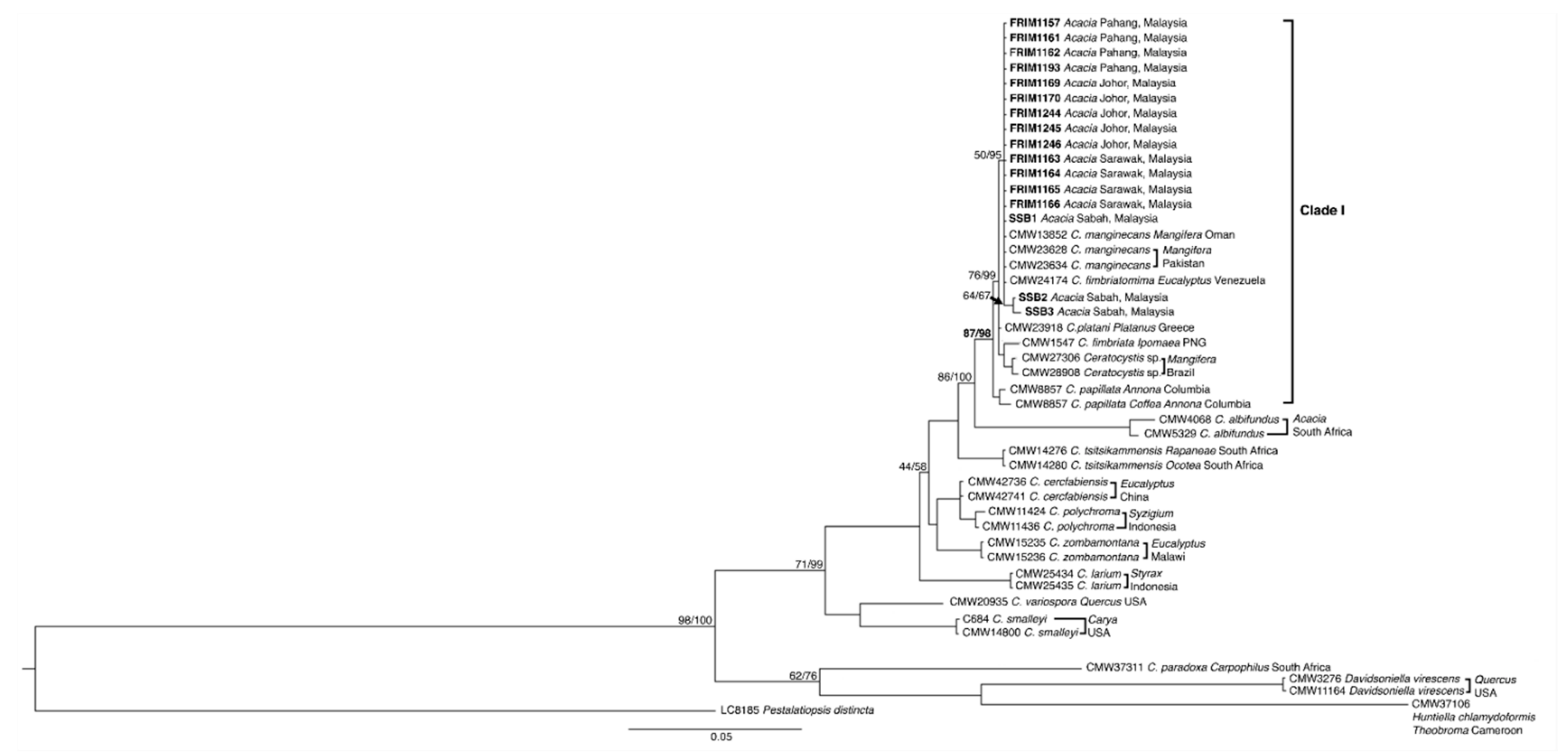 Forests 12 01782 g004 Forests 12 01782 g004