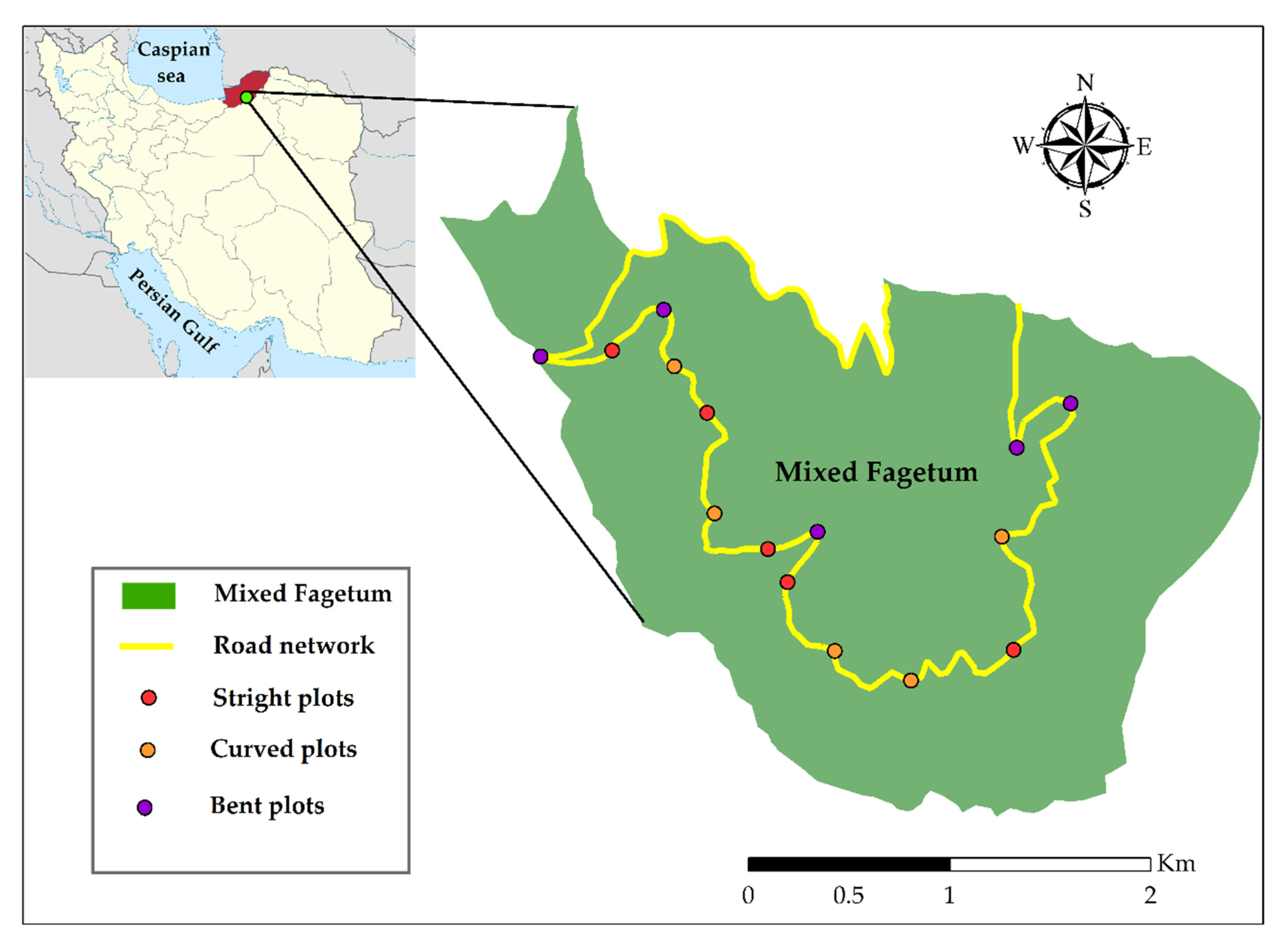 Forests 12 01805 g001 Forests 12 01805 g001