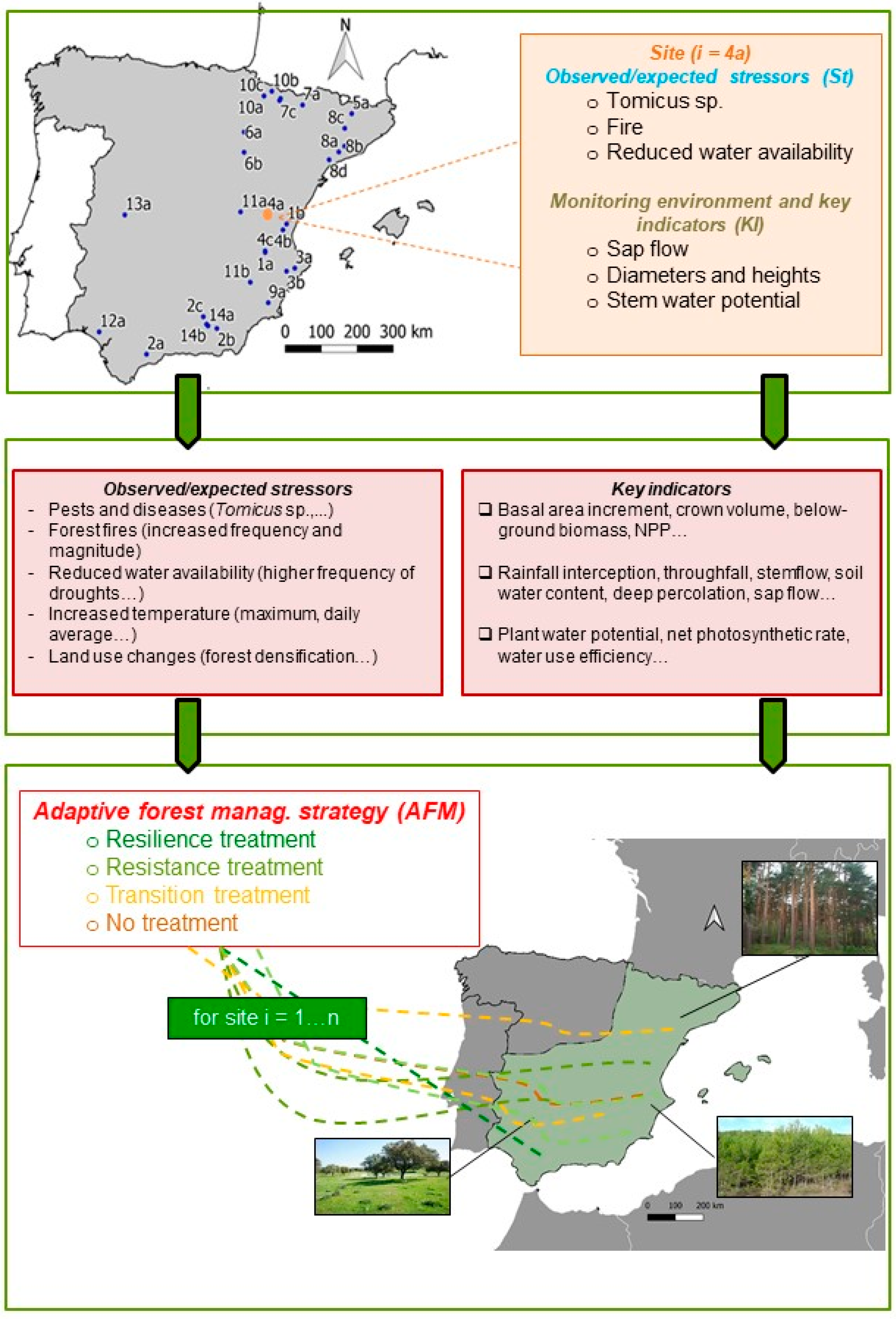 Forests 12 01807 g001