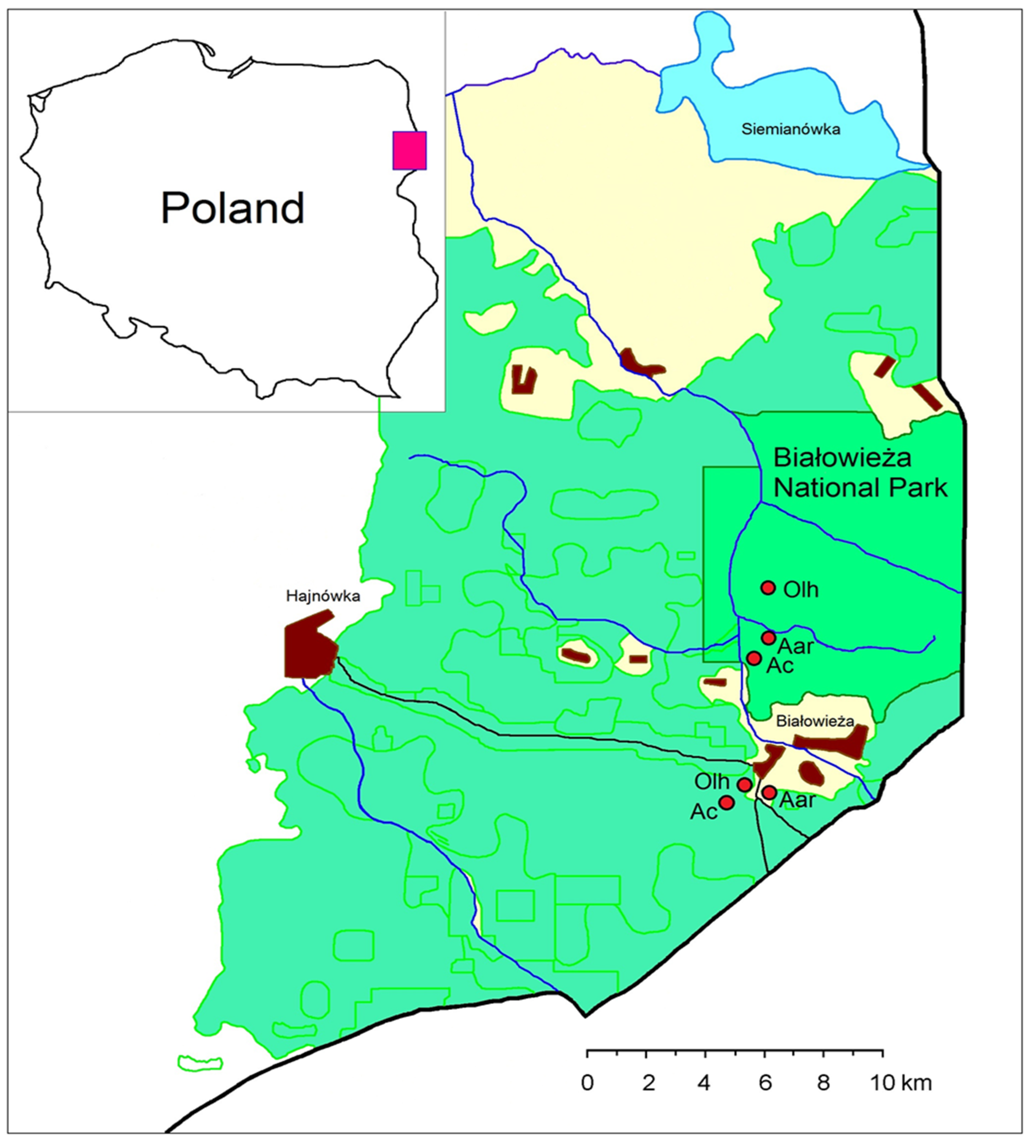 Forests 13 00005 g001
