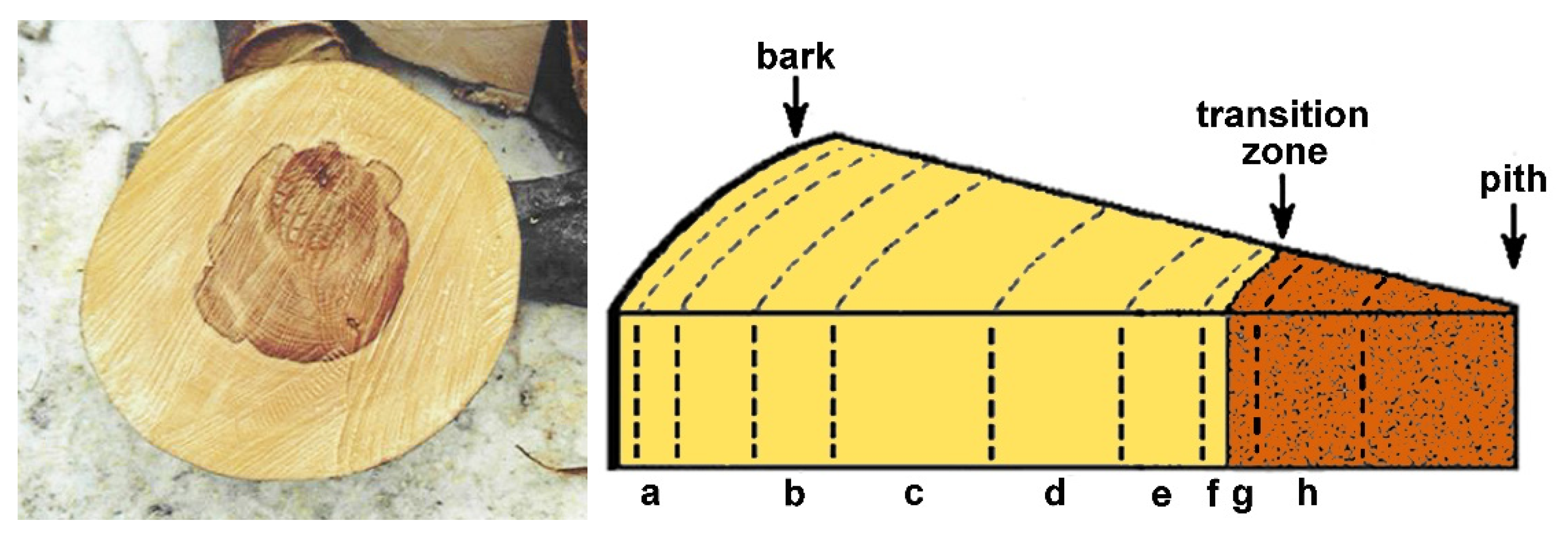 Forests 13 00010 g001 Forests 13 00010 g001
