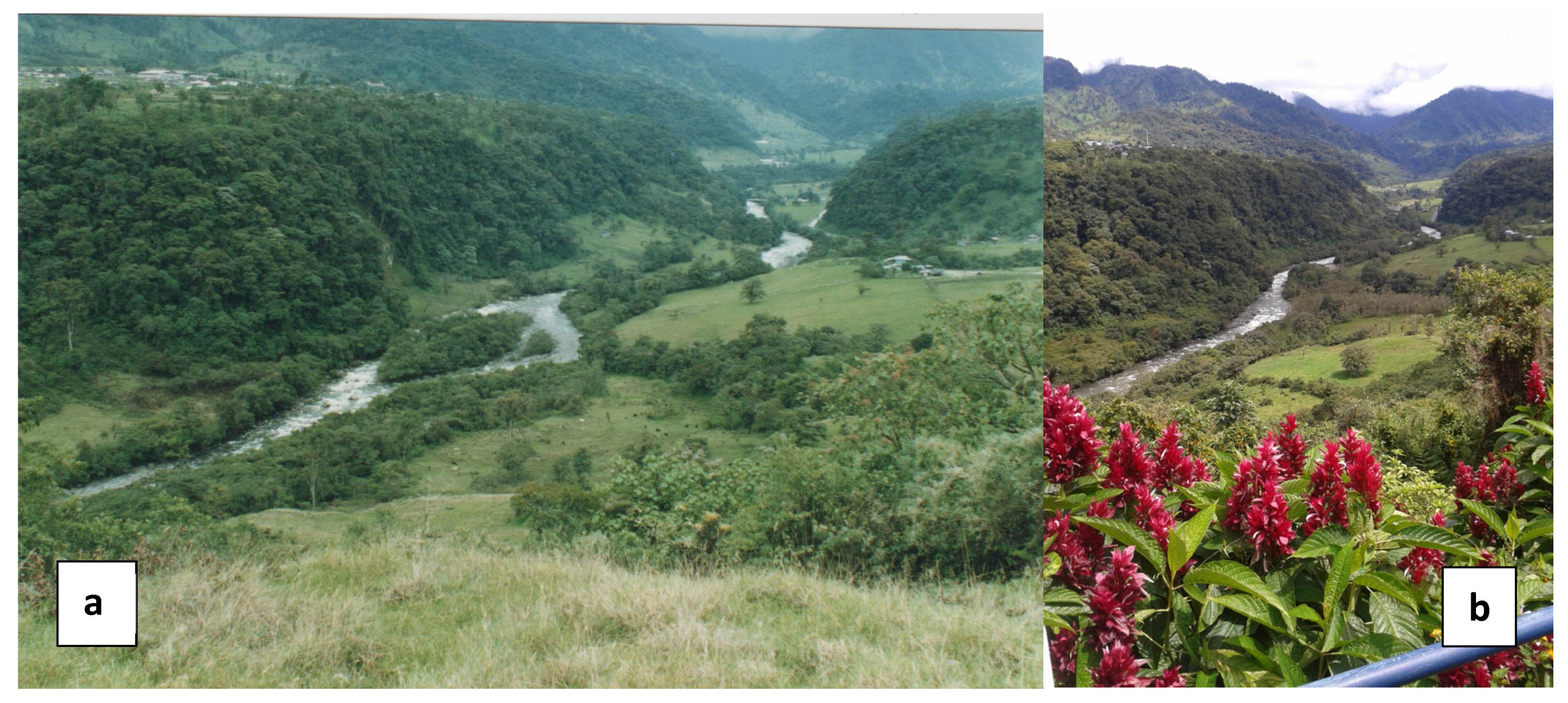 Forests 13 00011 g003