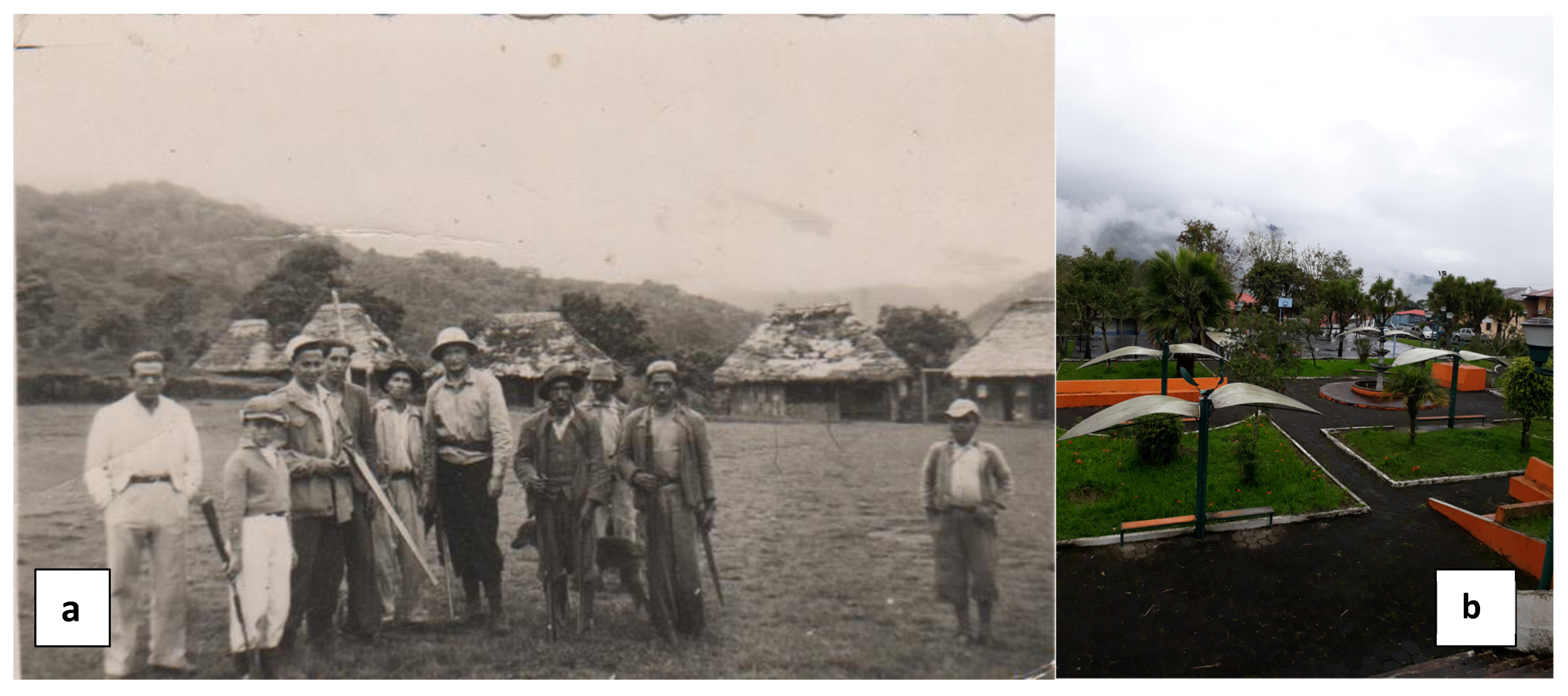 Forests 13 00011 g005