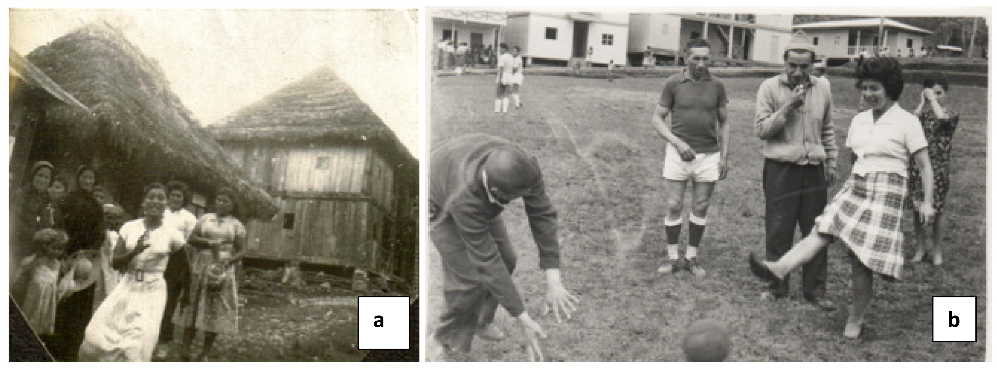 Forests 13 00011 g006