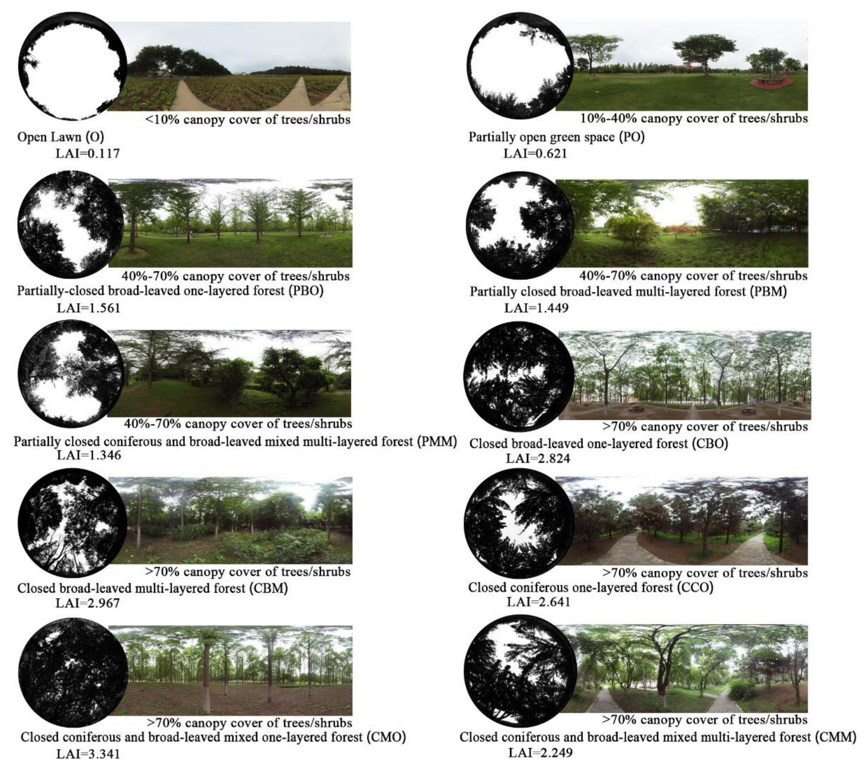 Forests 13 00014 g002