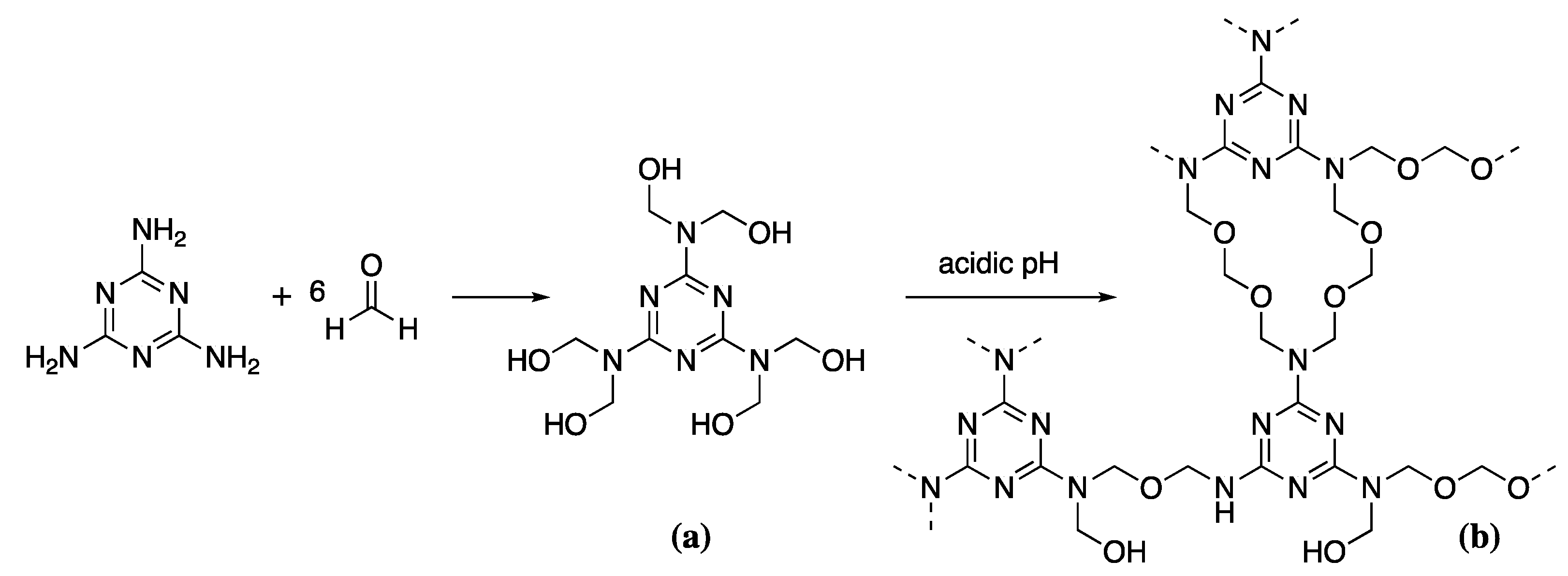 Forests 13 00018 sch004 Forests 13 00018 sch004