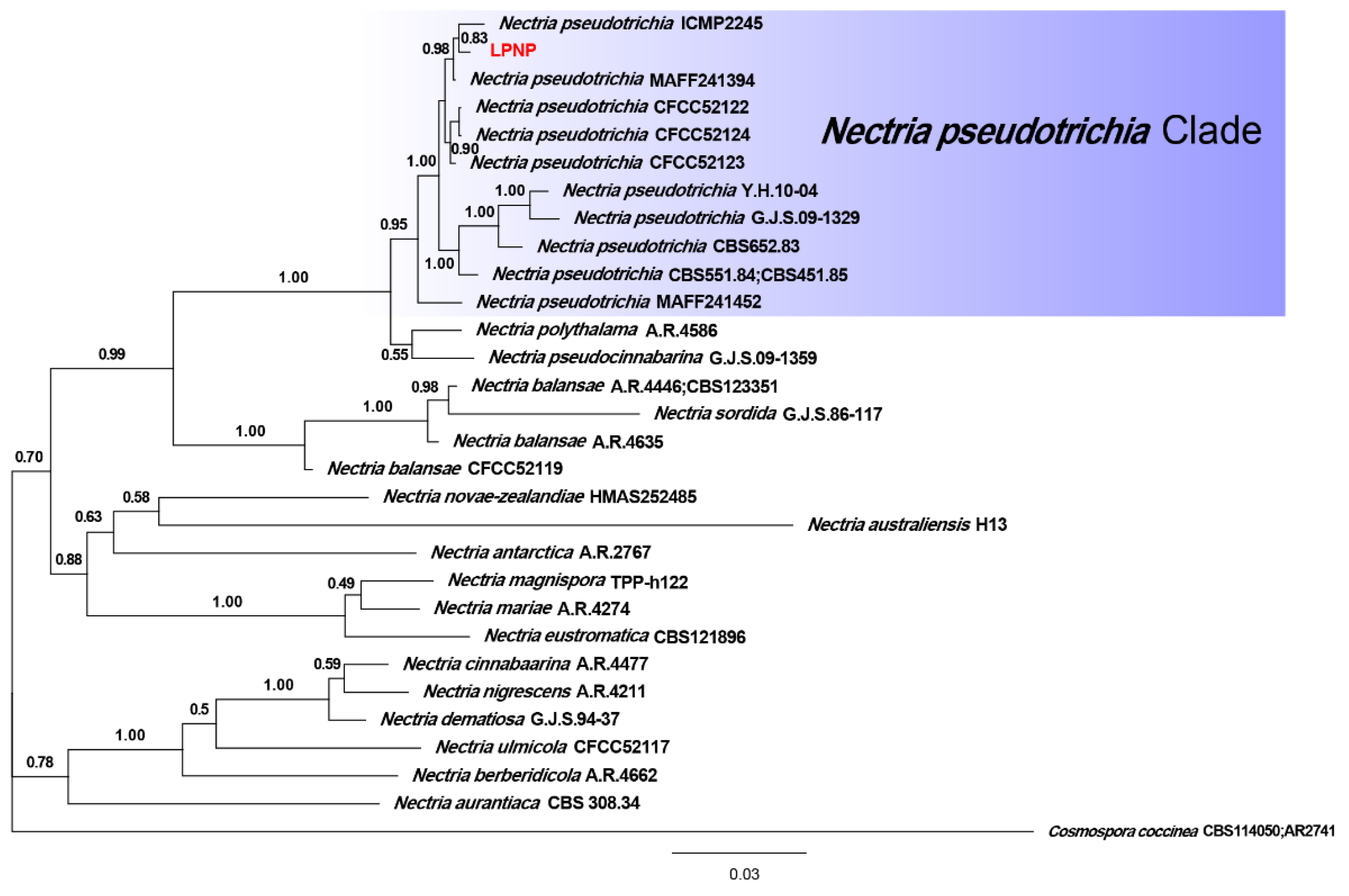 Forests 13 00029 g003 550