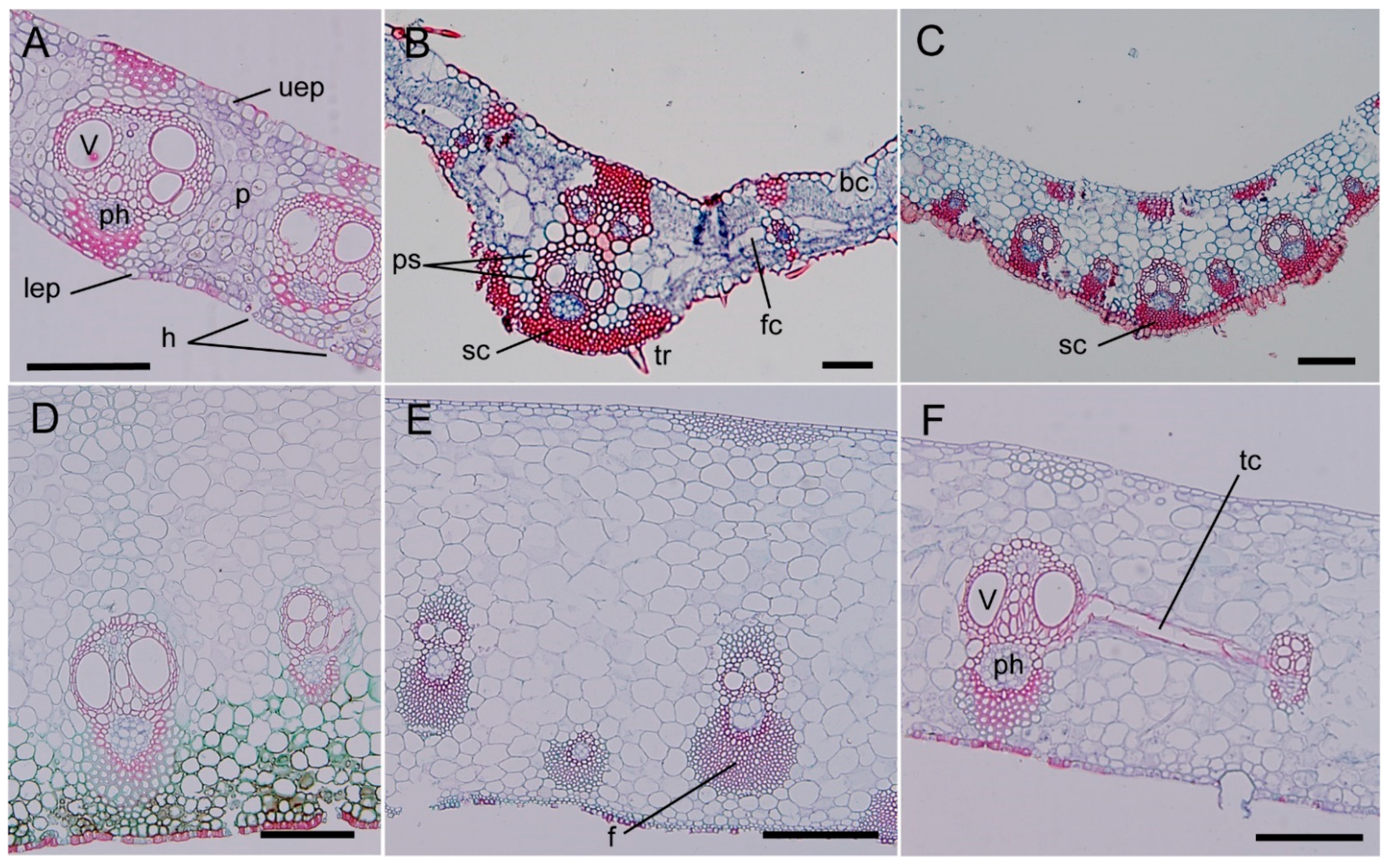 Forests 13 00031 g005 Forests 13 00031 g005