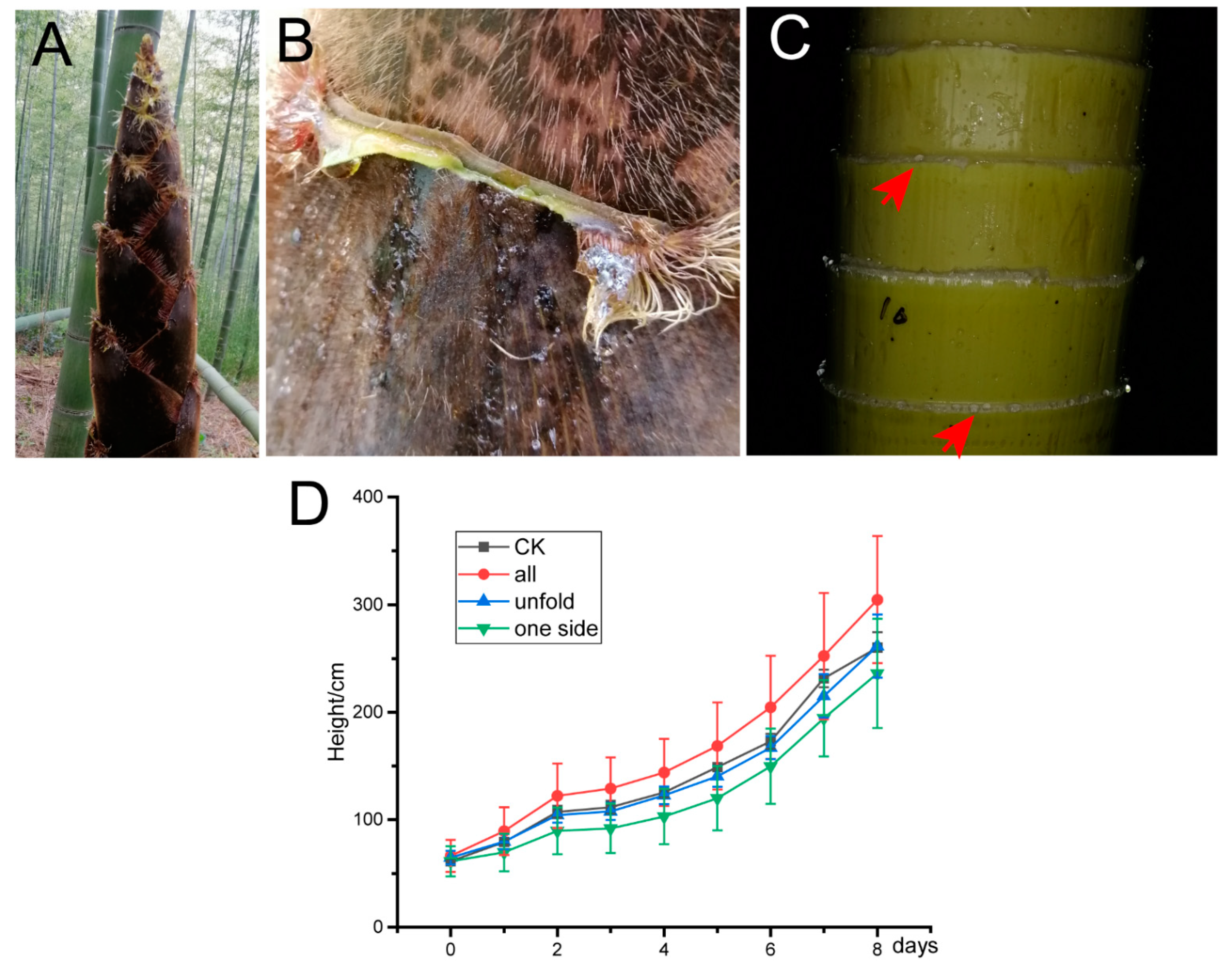 Forests 13 00031 g006 Forests 13 00031 g006