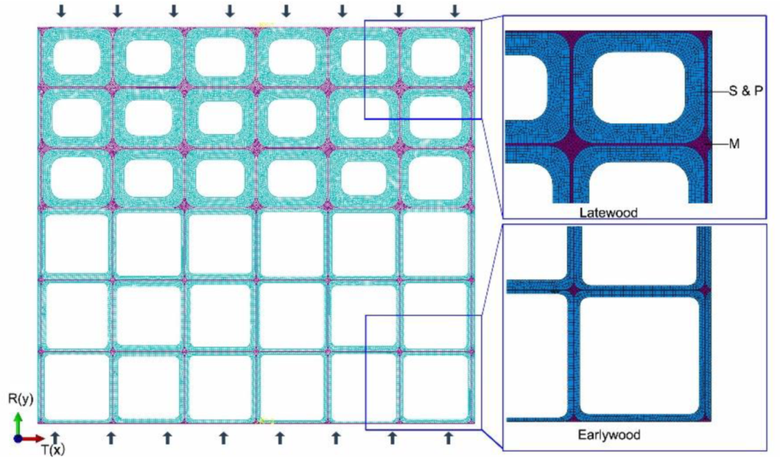 Forests 13 00032 g002 550