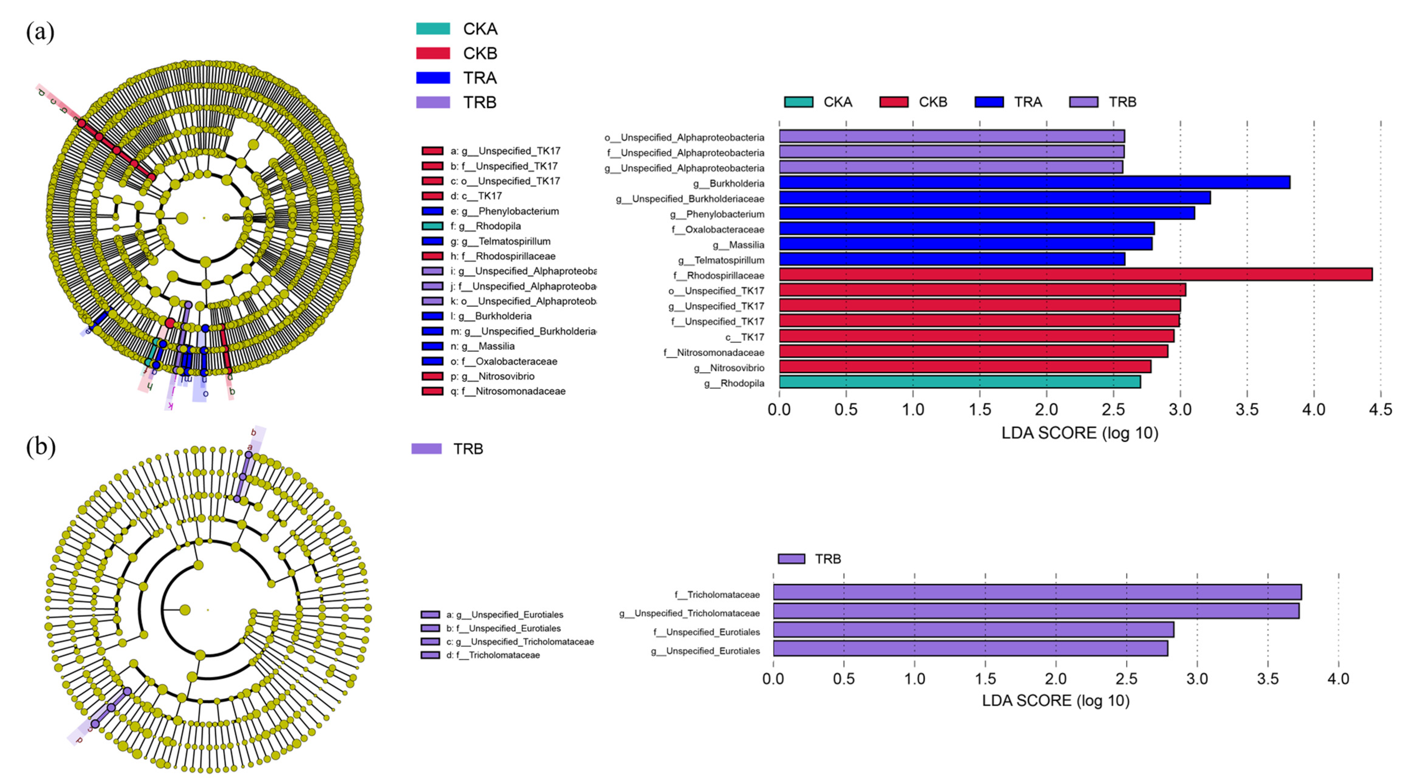 Forests 13 00037 g002 550