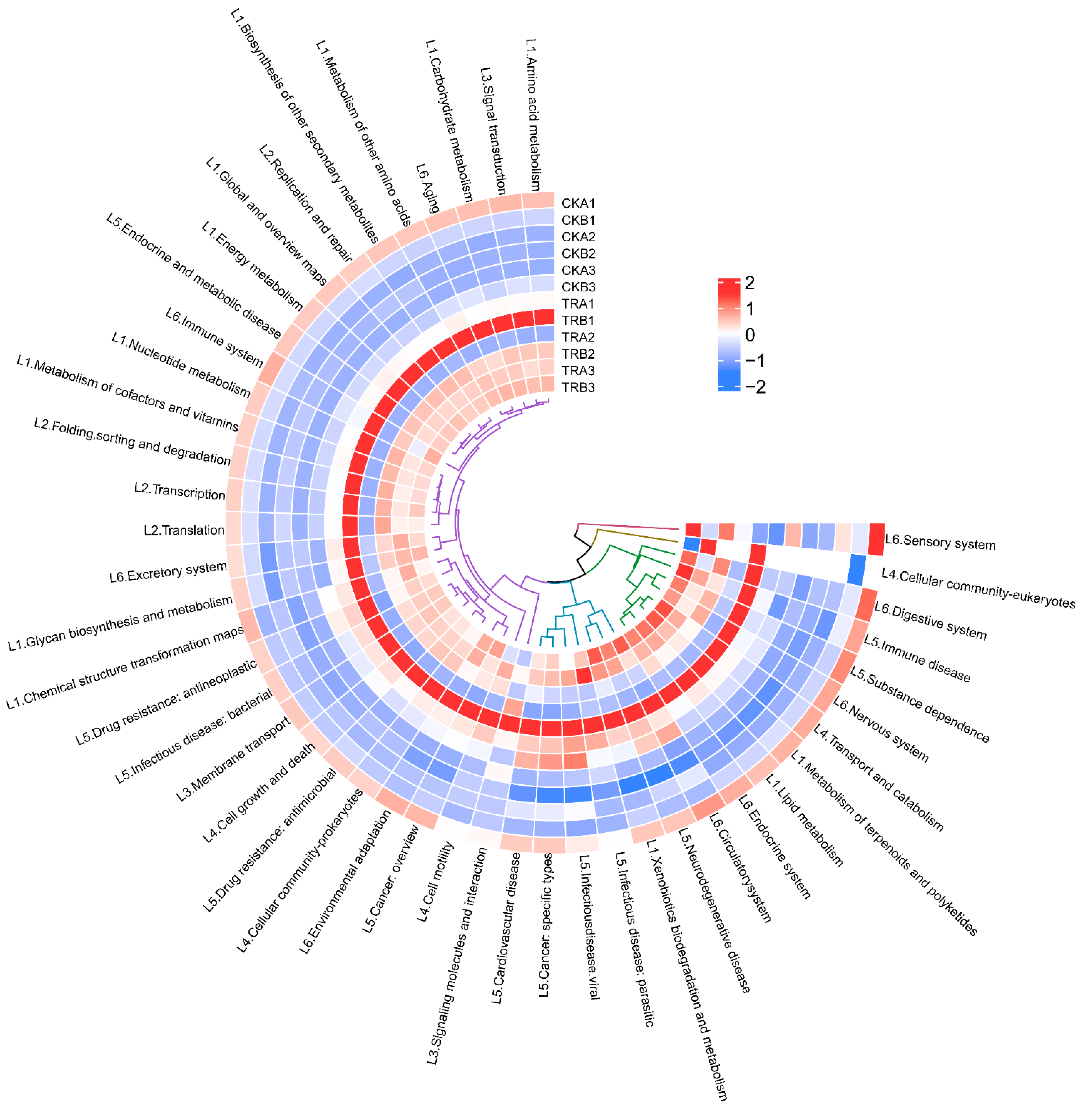 Forests 13 00037 g006 550