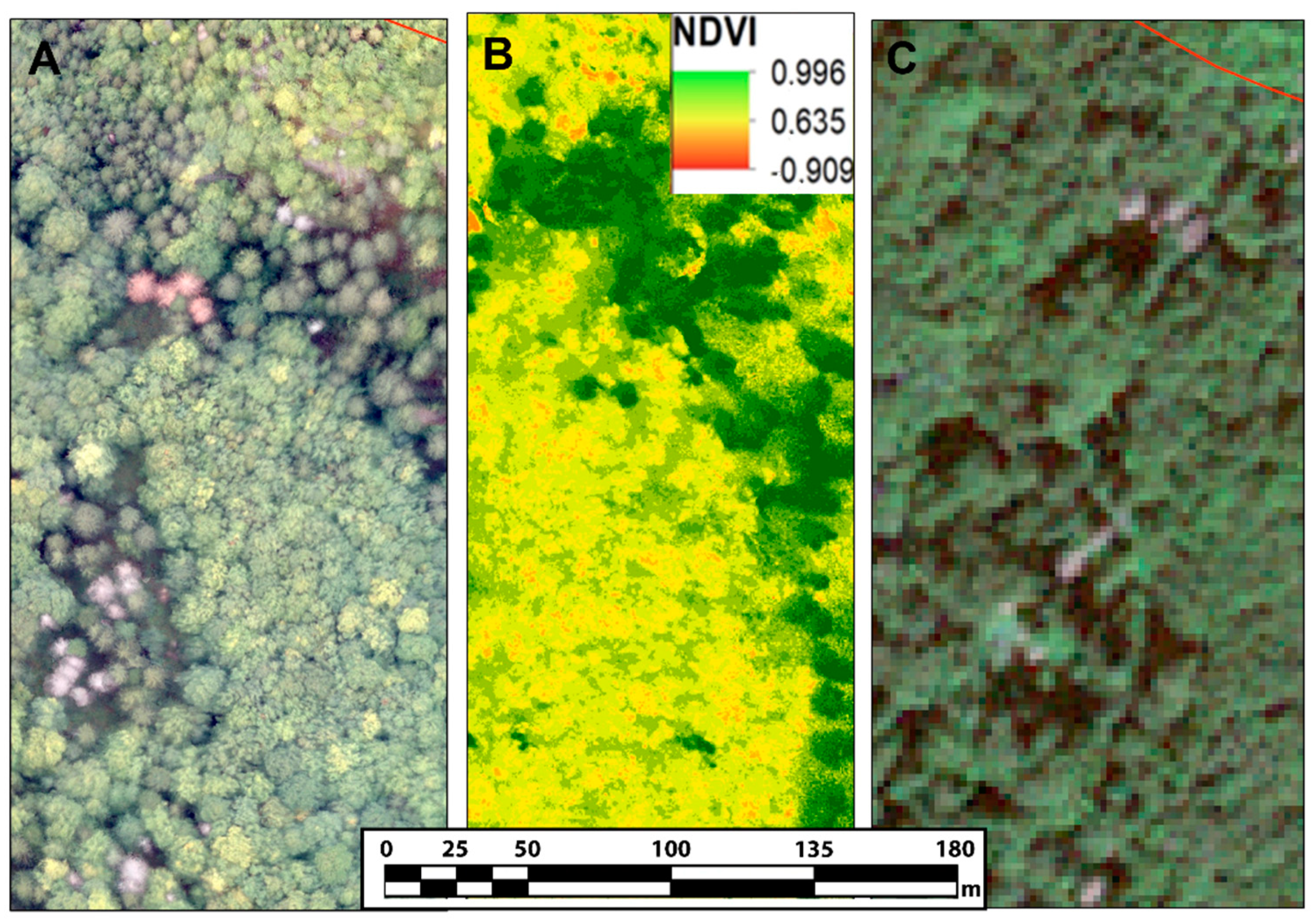 Forests 13 00039 g002 550