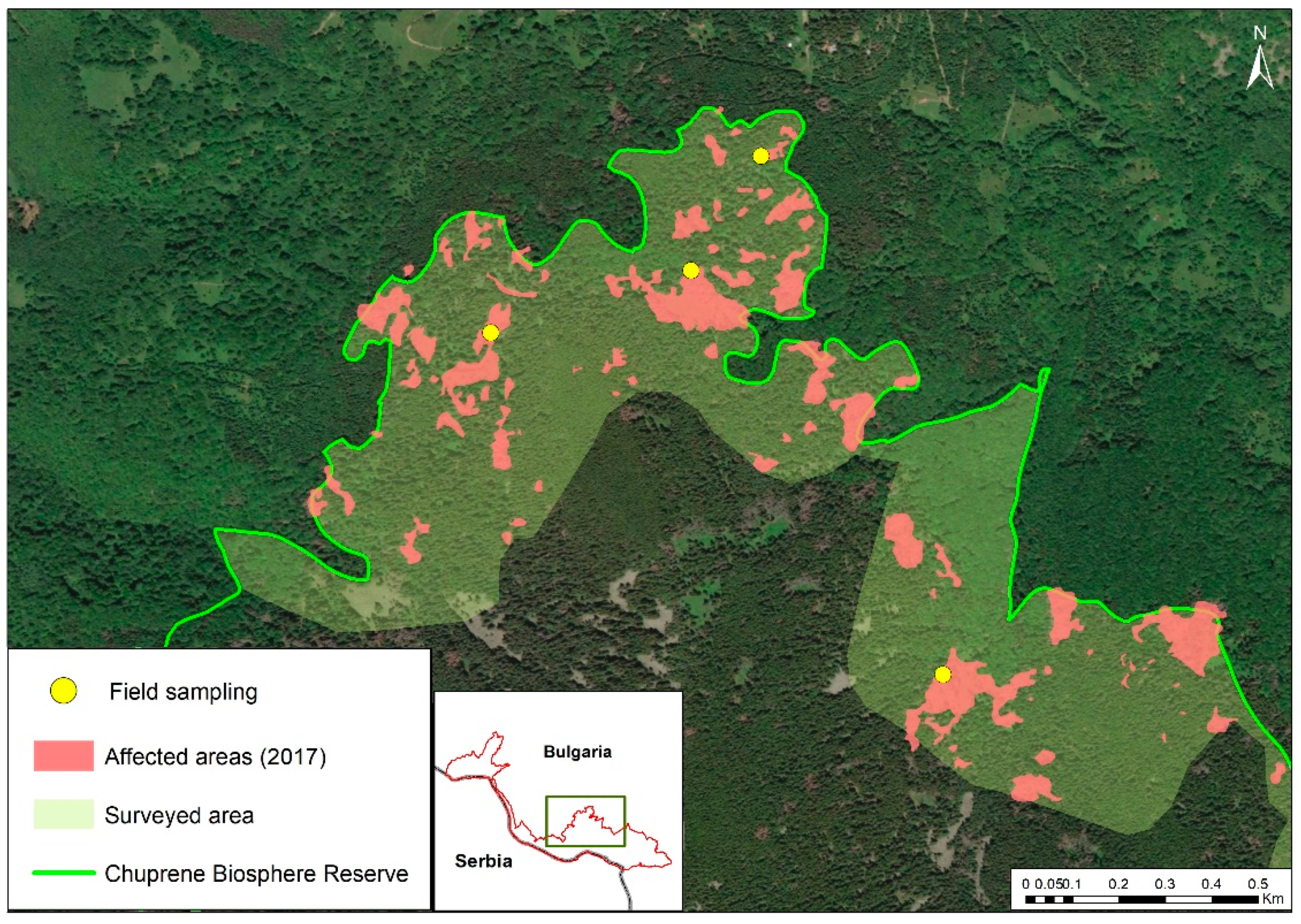 Forests 13 00039 g004 550