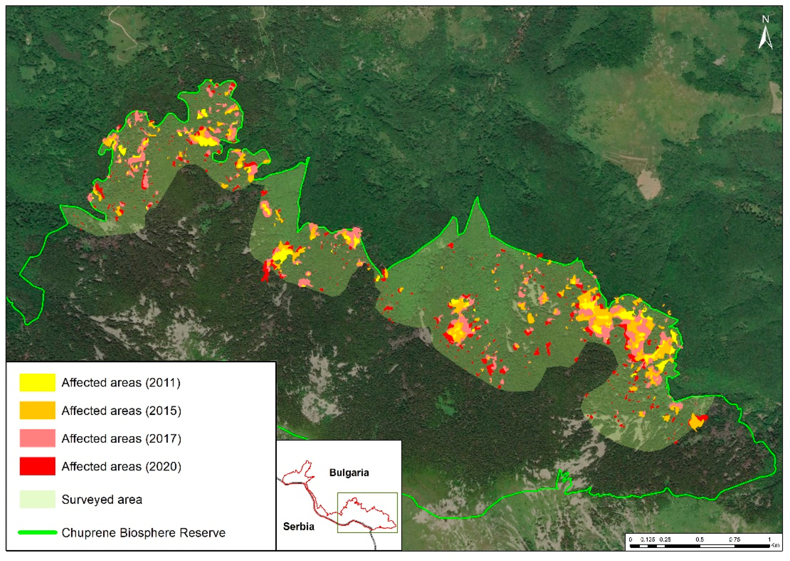 Forests 13 00039 g005 550