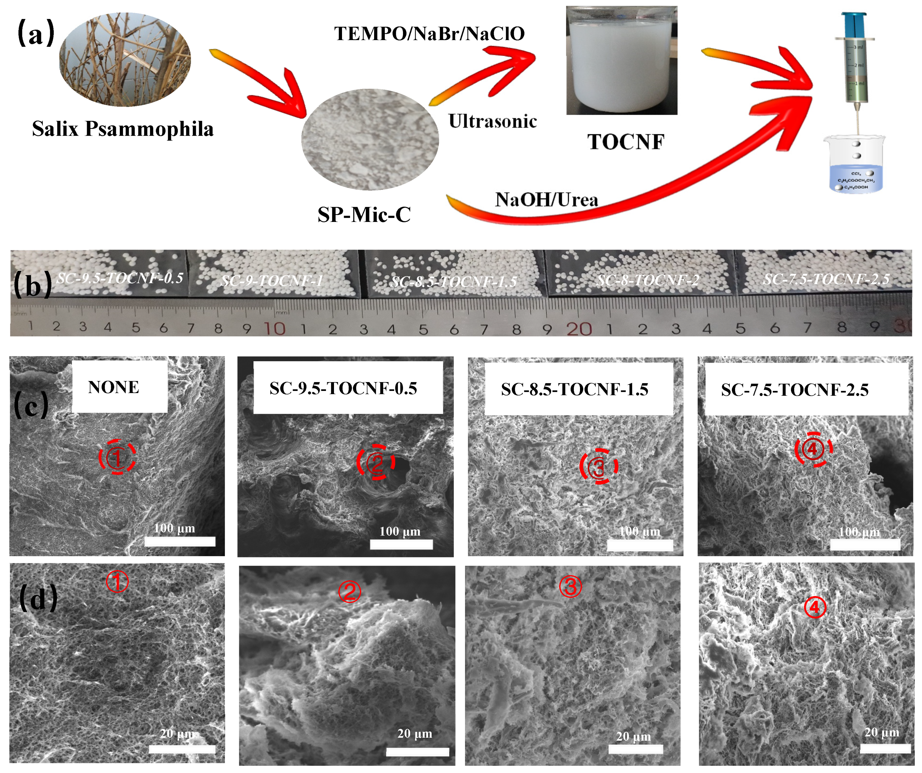 Forests 13 00061 g002