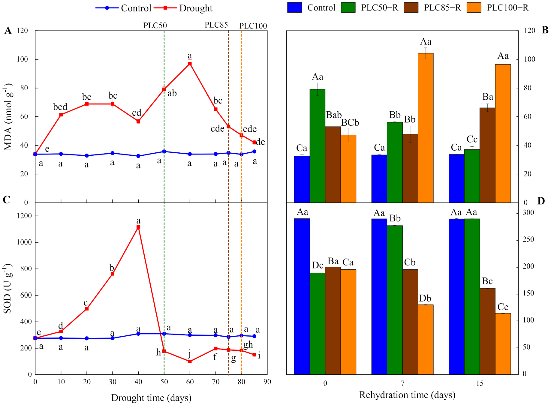 Forests 13 00065 g004