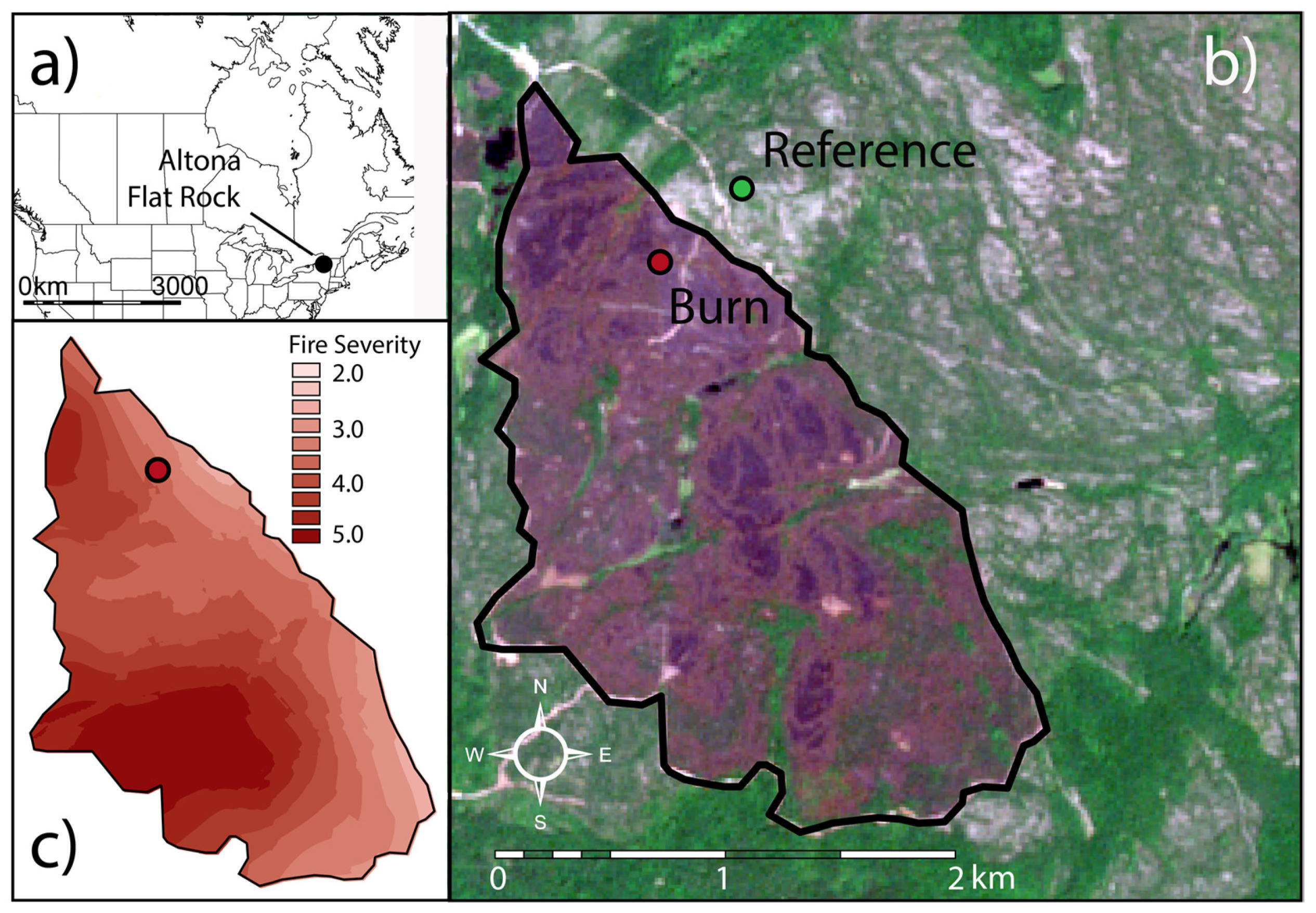 Forests 13 00066 g001
