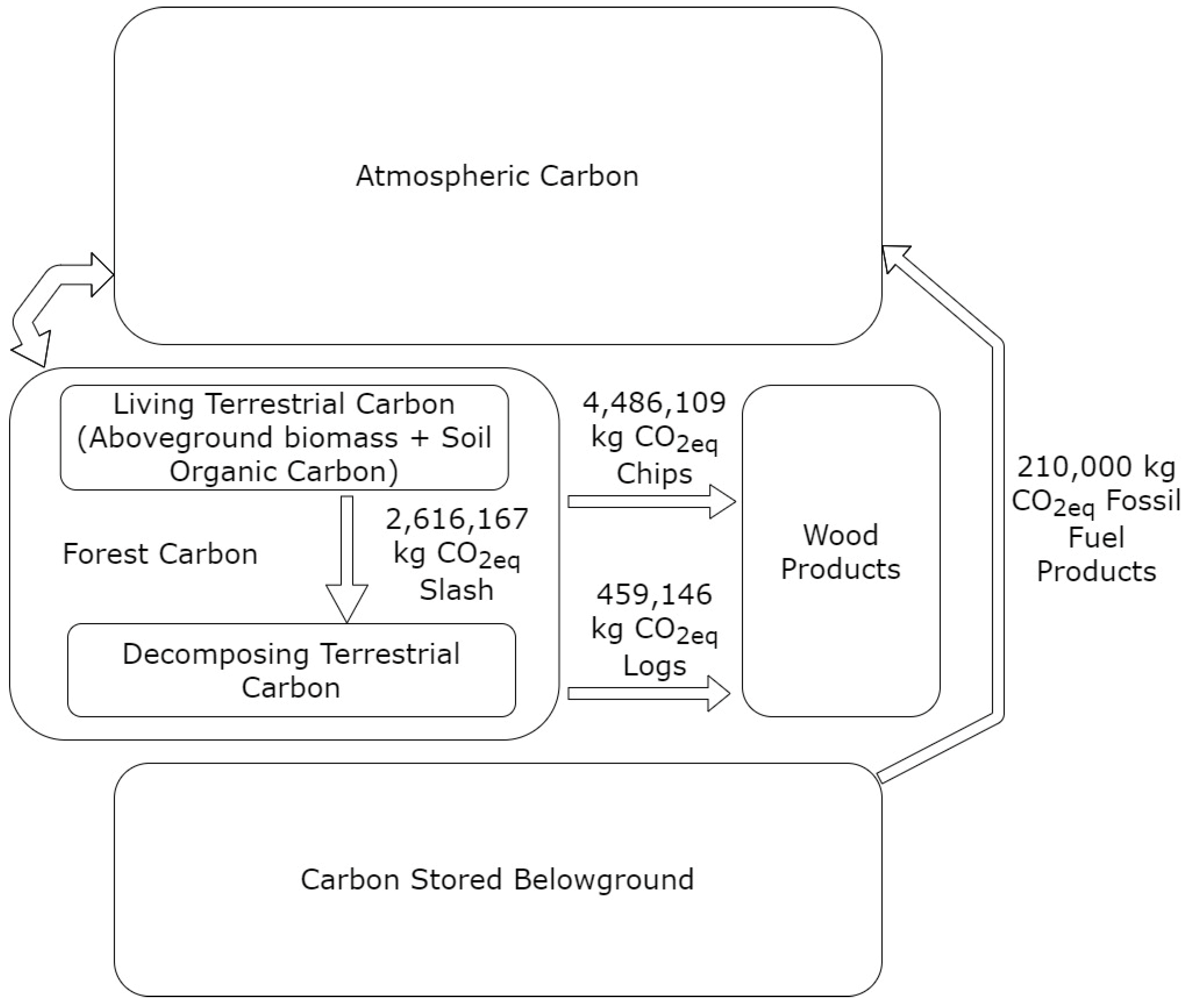 Forests 13 00070 g005 550