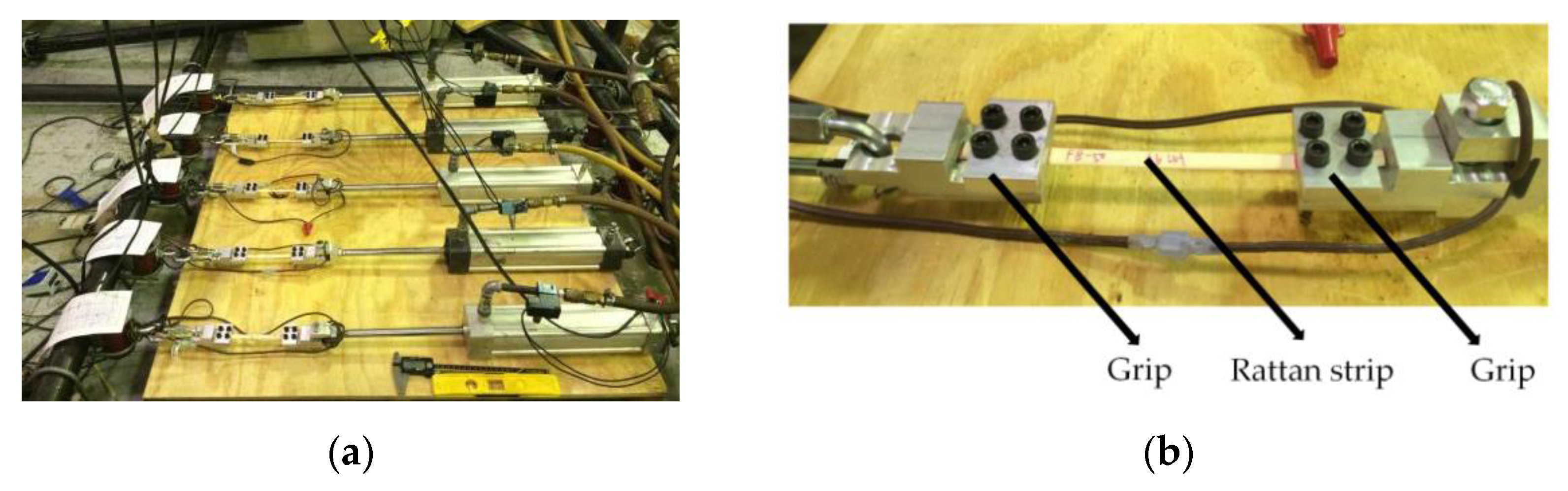 Forests 13 00076 g005 550