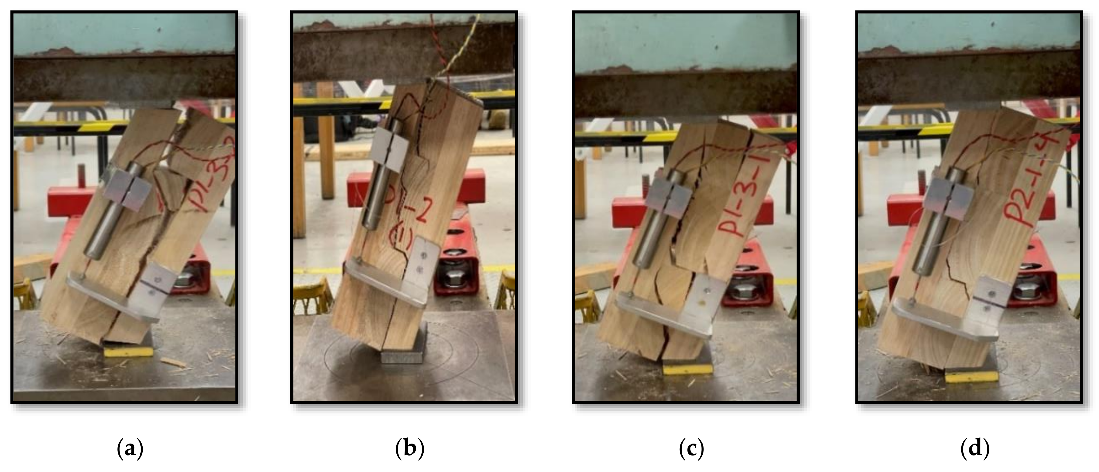 Forests 13 00084 g004a Forests 13 00084 g004a