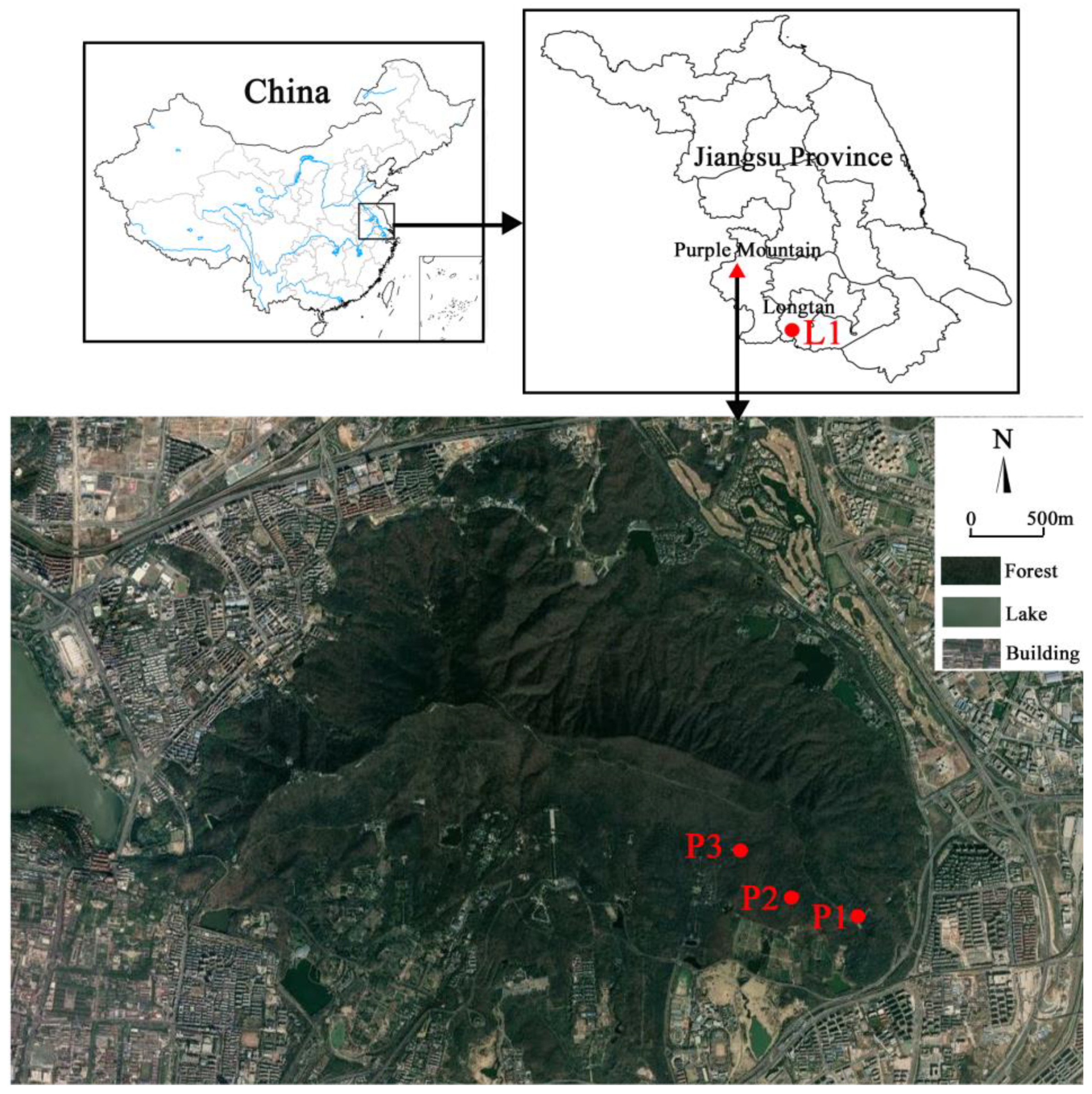 Forests 13 00085 g001 550
