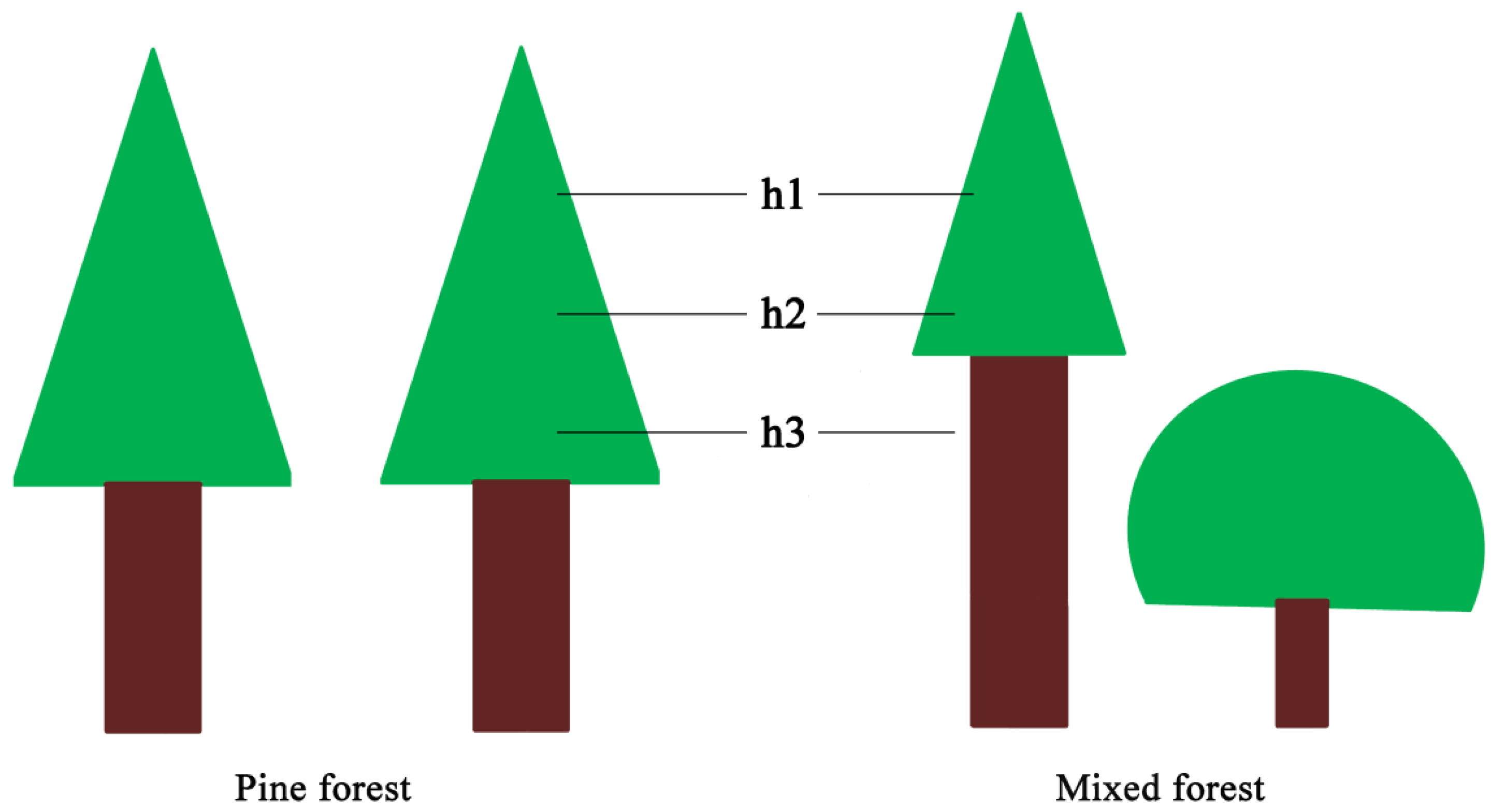 Forests 13 00085 g003 550
