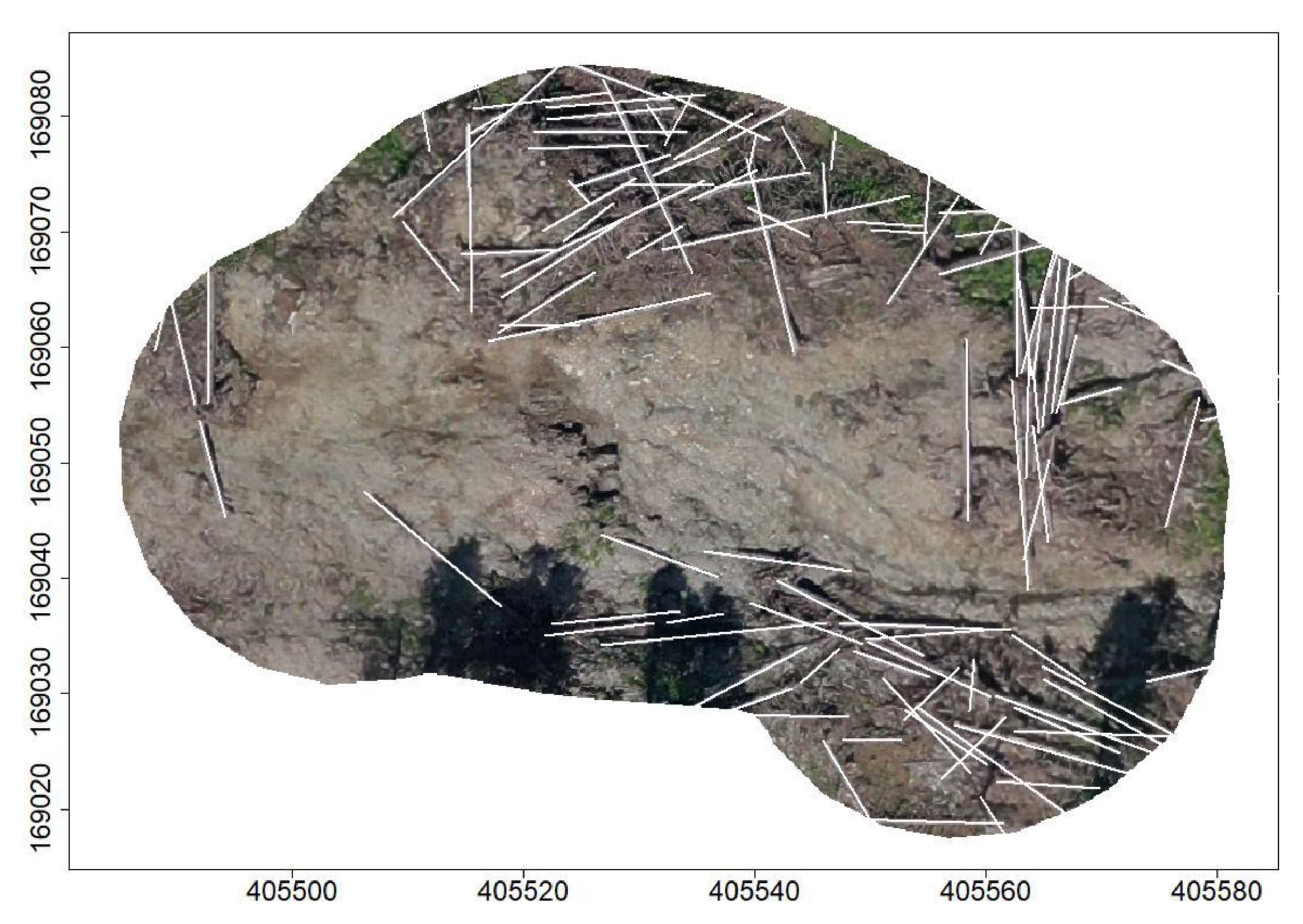 Forests 13 00090 g004 550