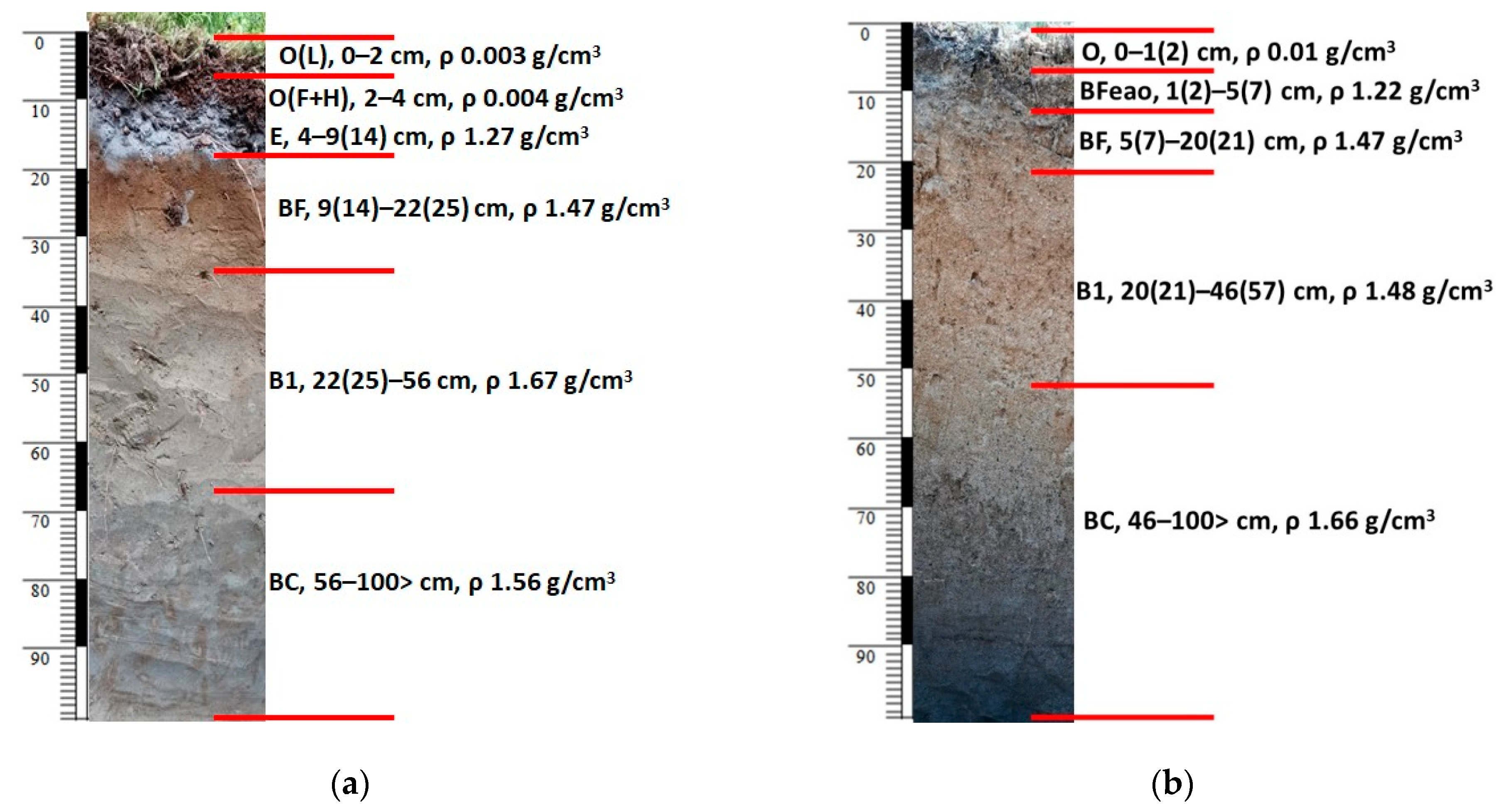 Forests 13 00091 g002 Forests 13 00091 g002
