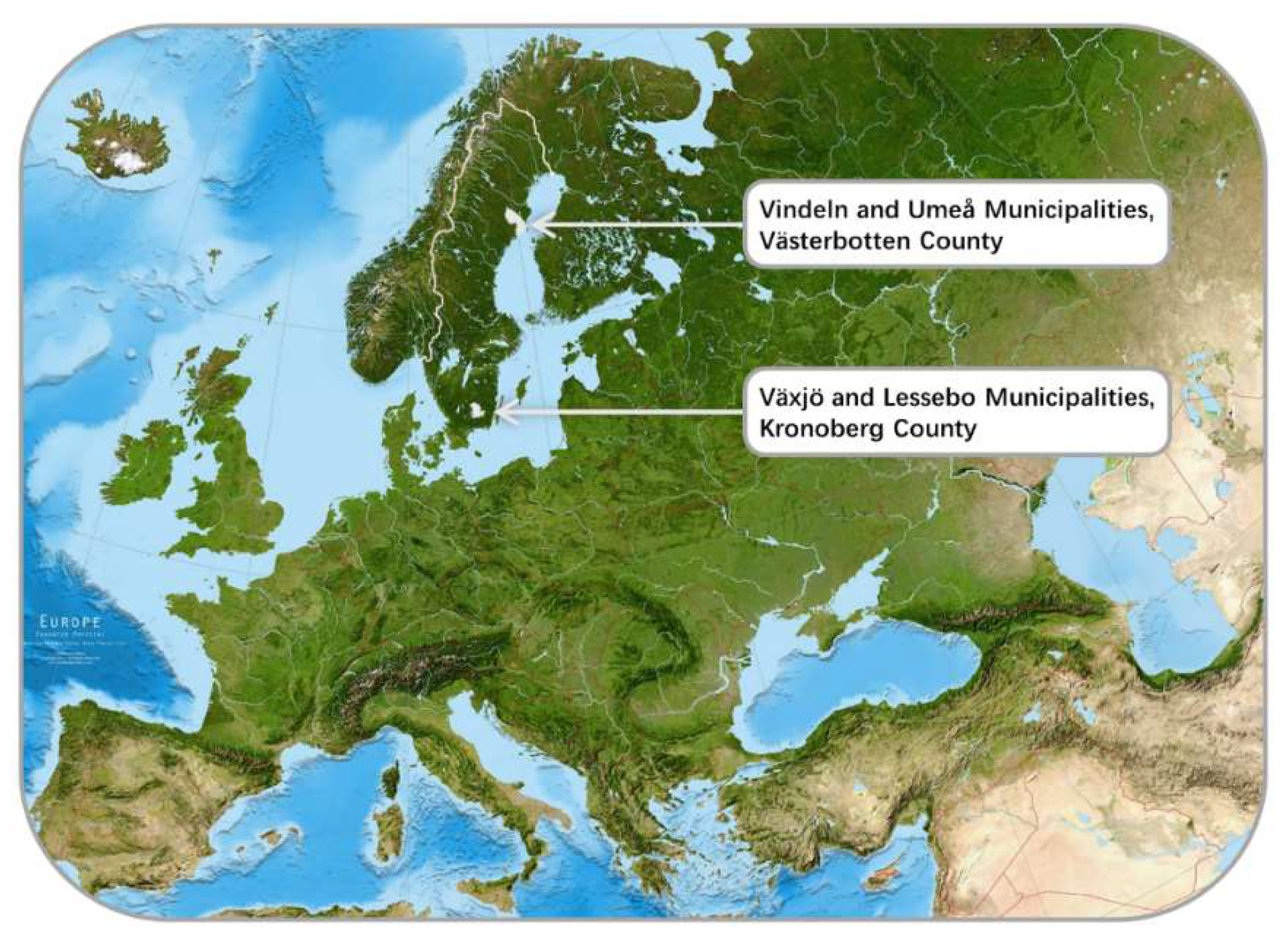 Forests 13 00098 g002 550