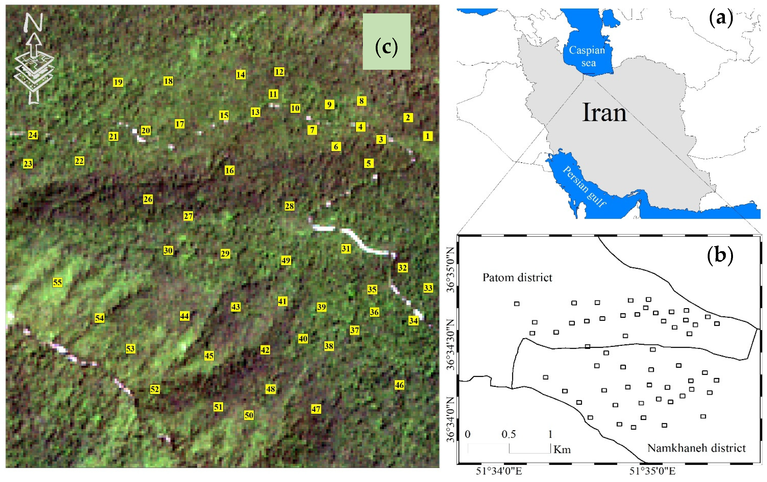 Forests 13 00104 g0a1