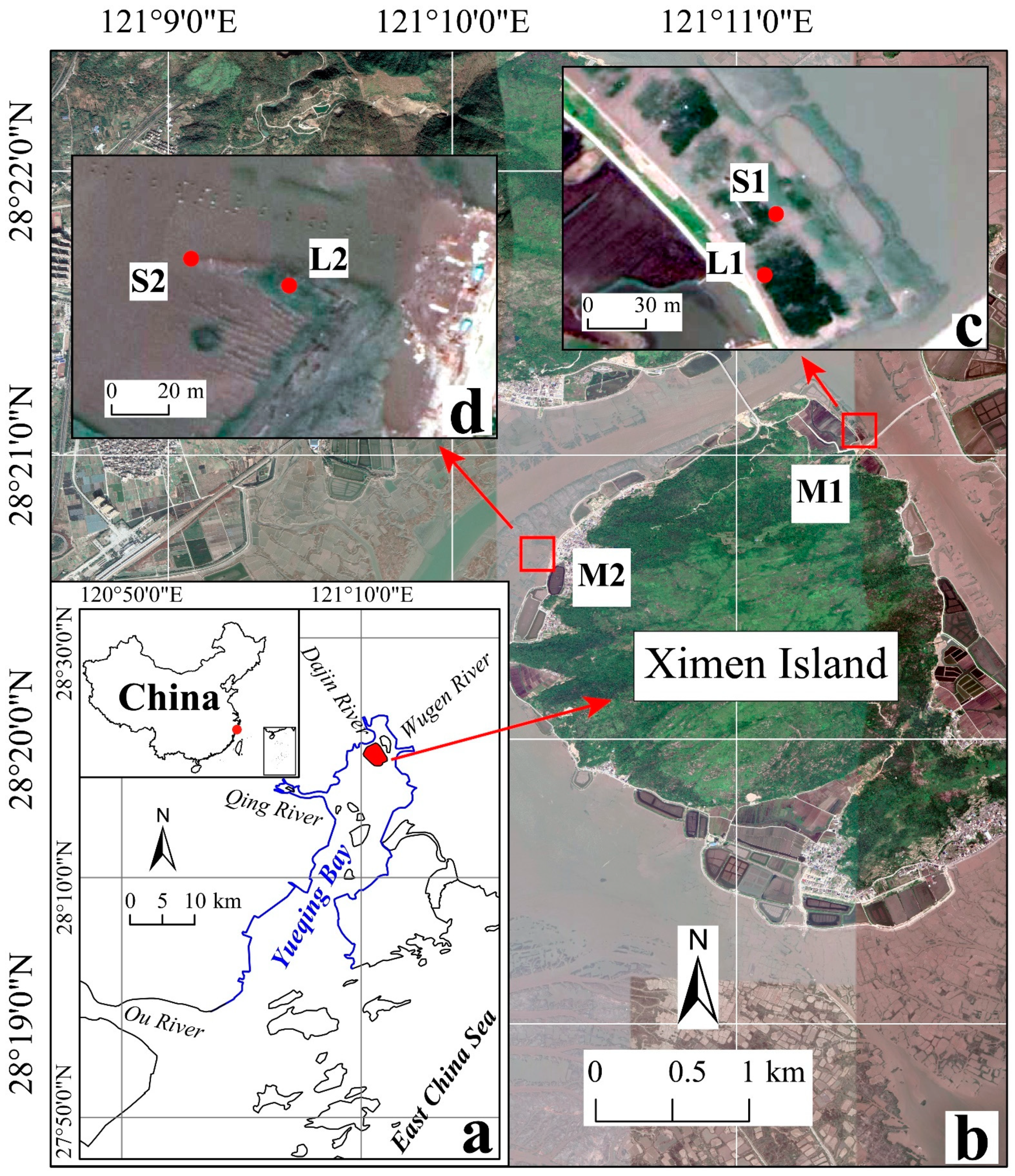 Forests 13 00105 g001