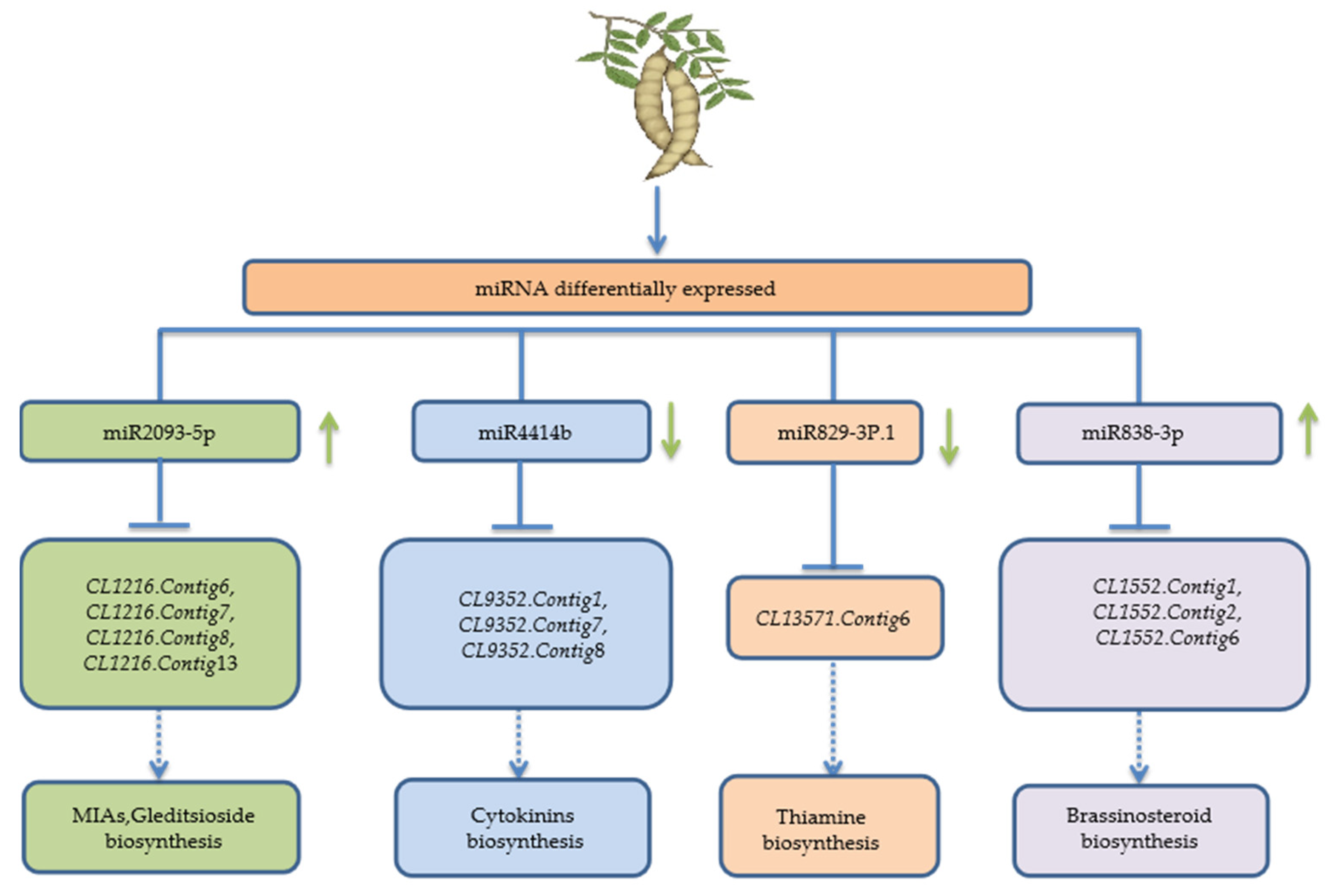Forests 13 00108 g006 550