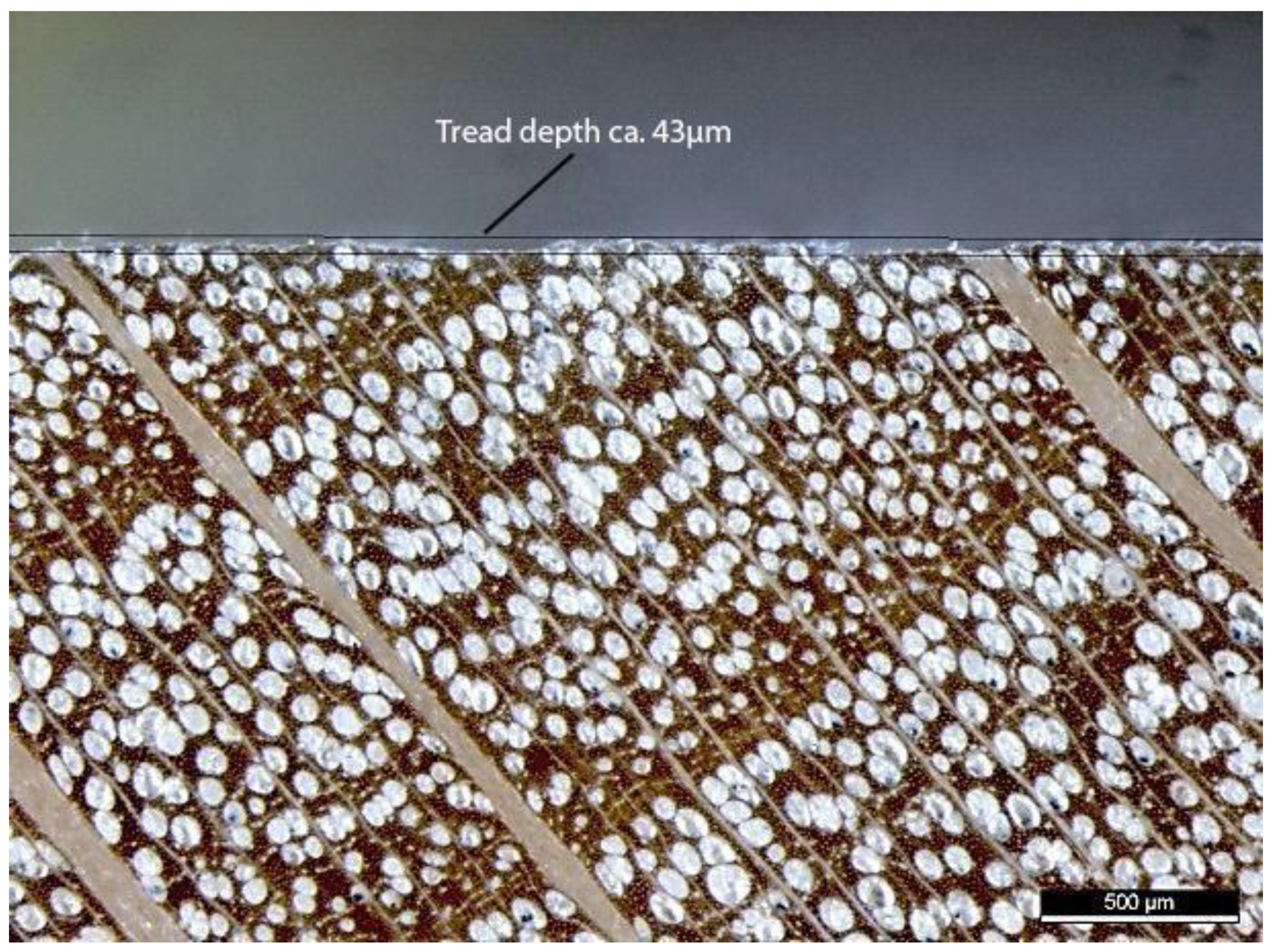 Forests 13 00113 g001 550