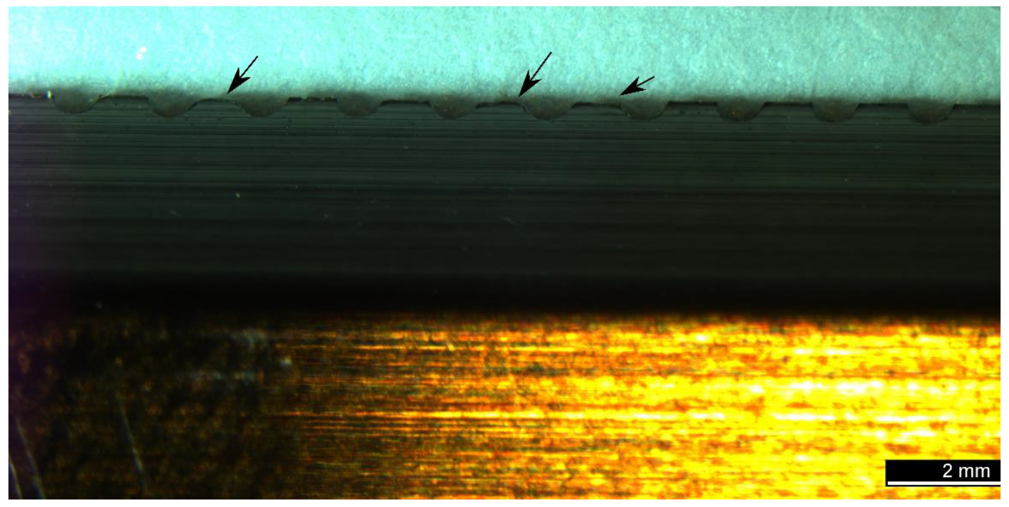 Forests 13 00113 g008 550