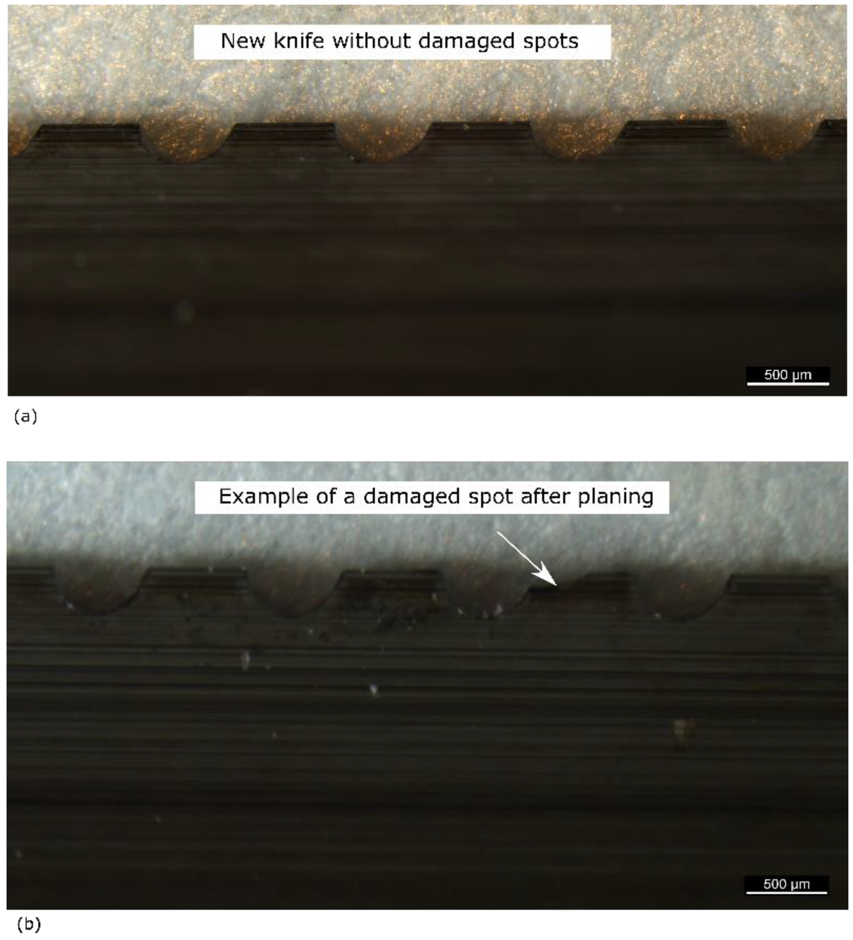 Forests 13 00113 g009 550