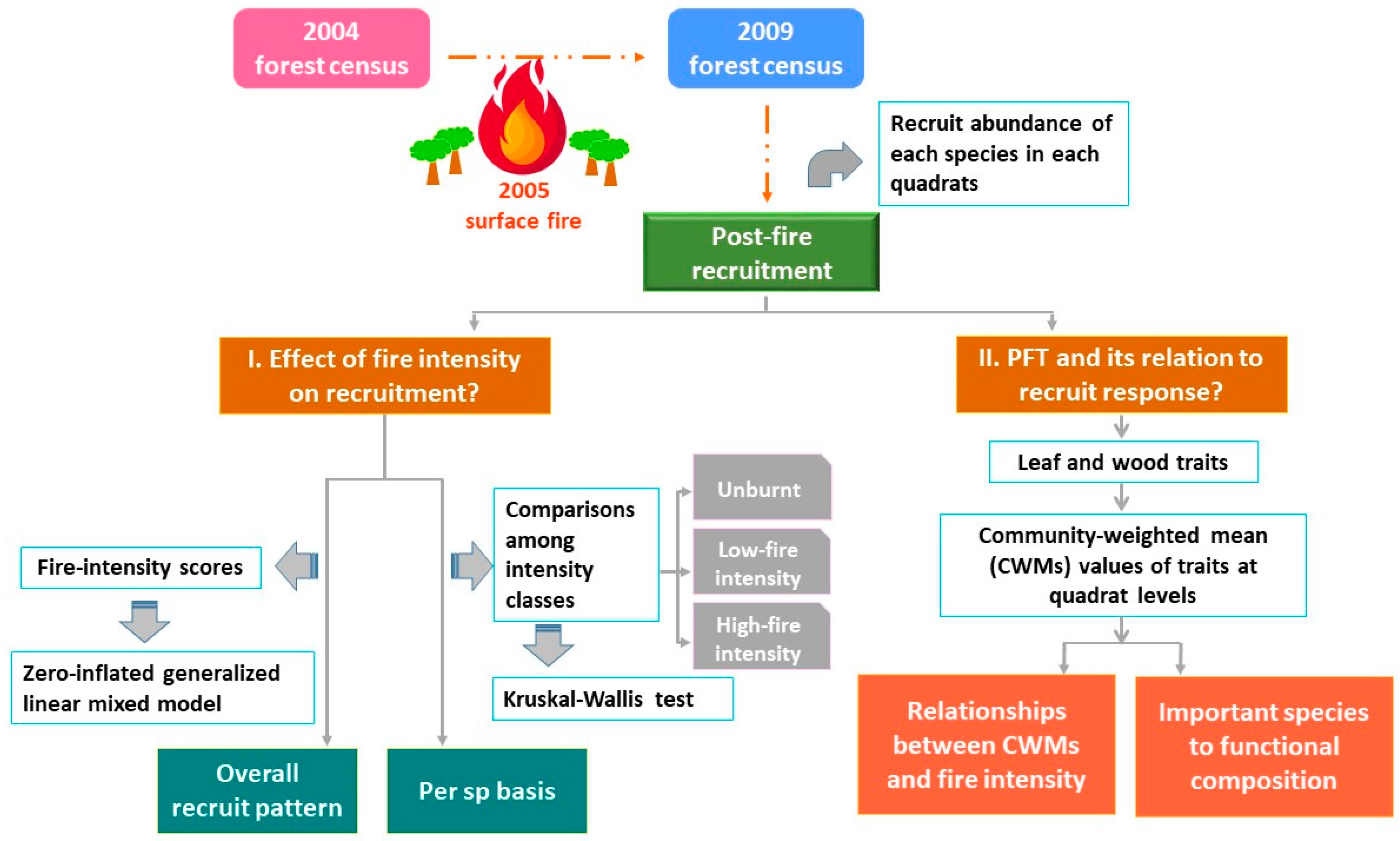 Forests 13 00116 g003