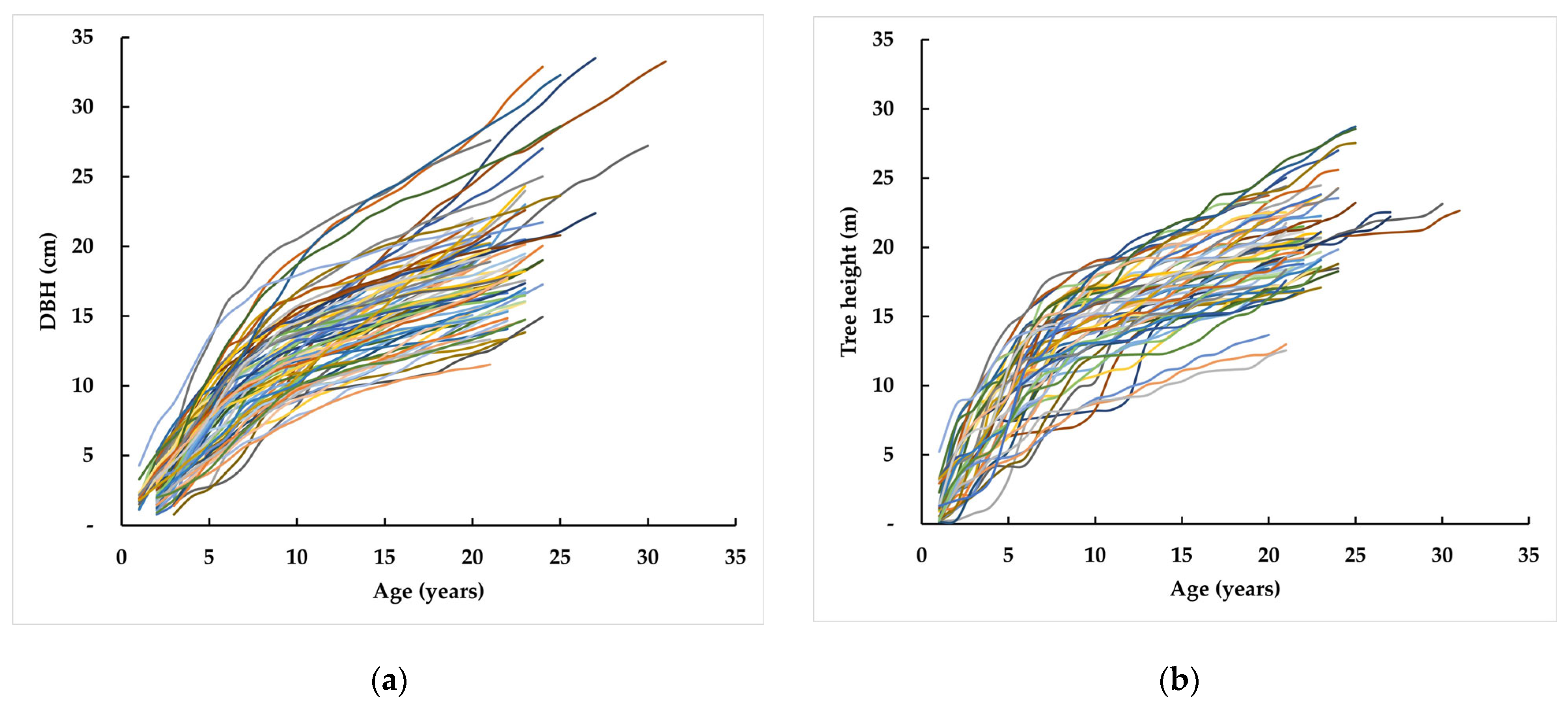 Forests 13 00118 g003 Forests 13 00118 g003