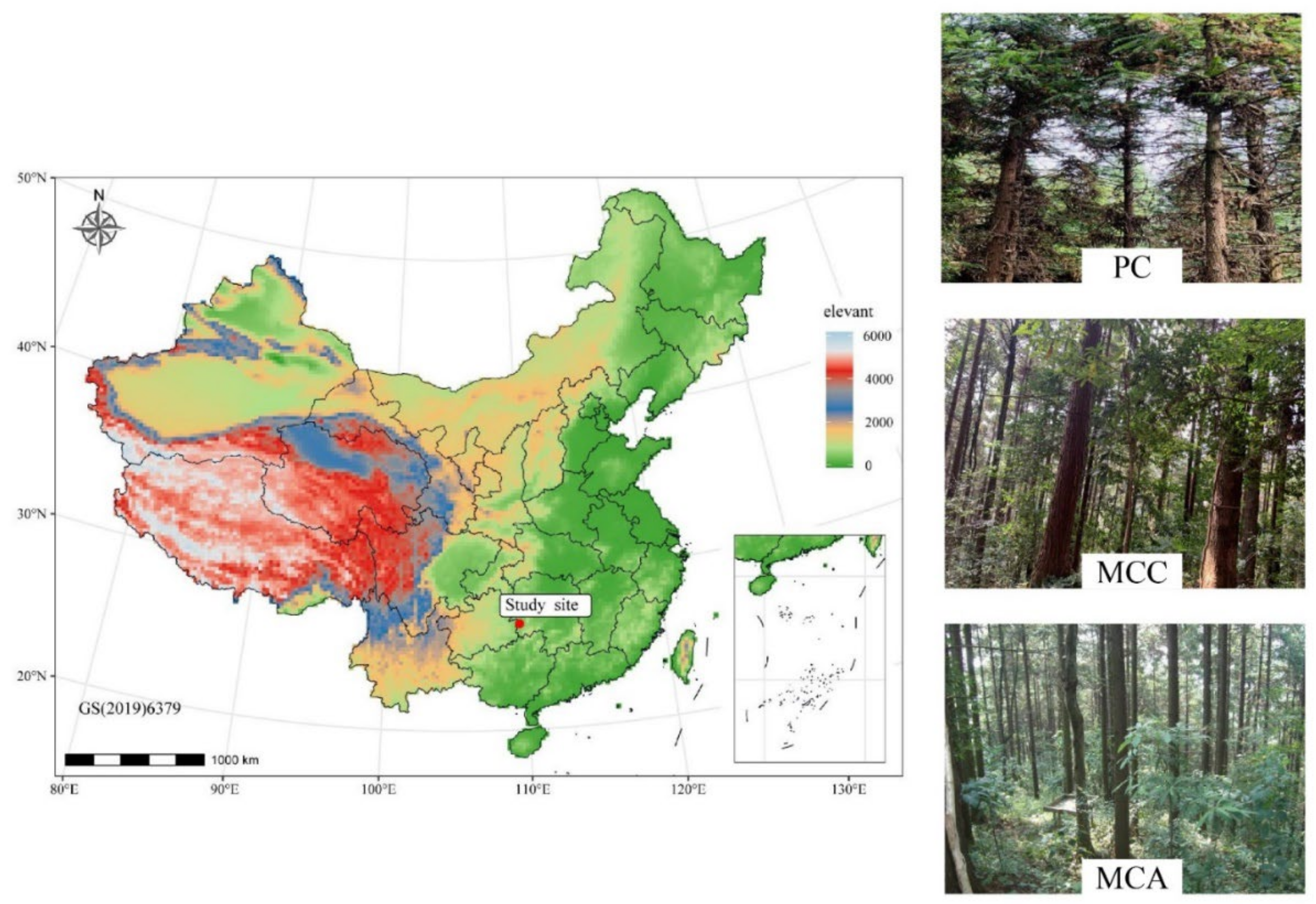 Forests 13 00123 g001