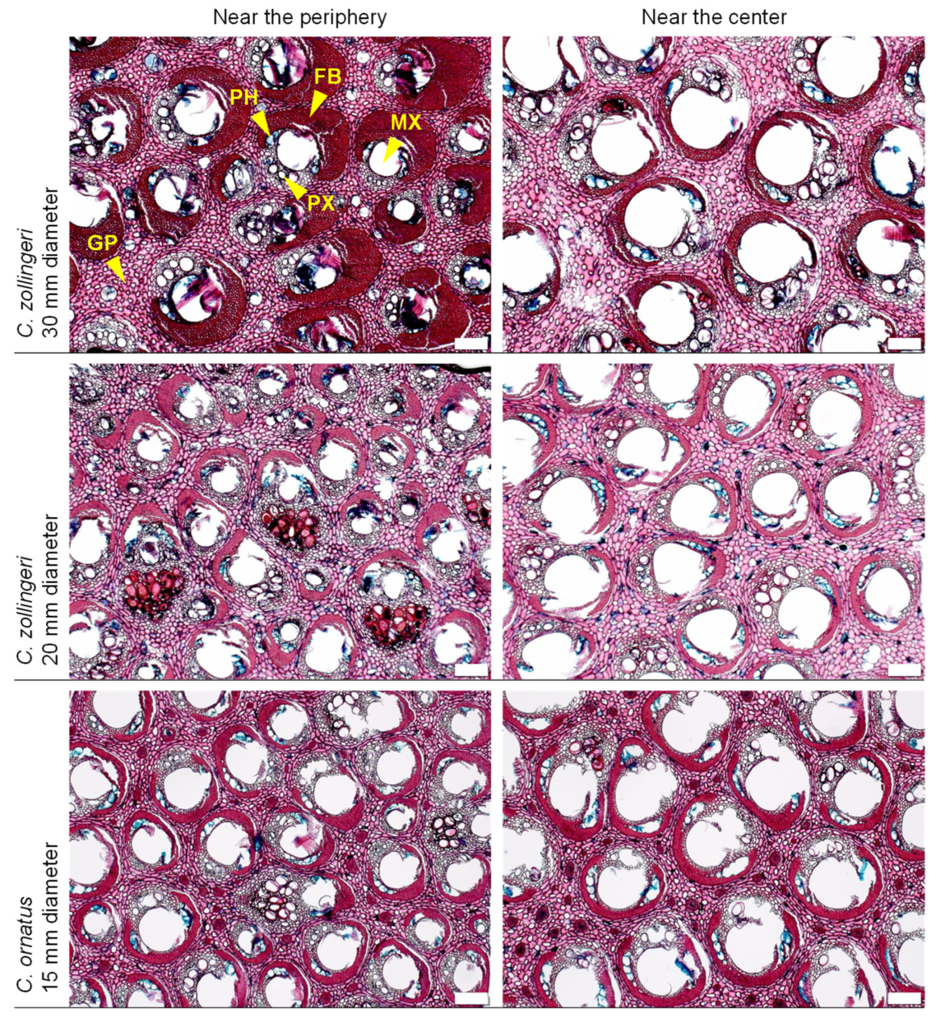Forests 13 00132 g002
