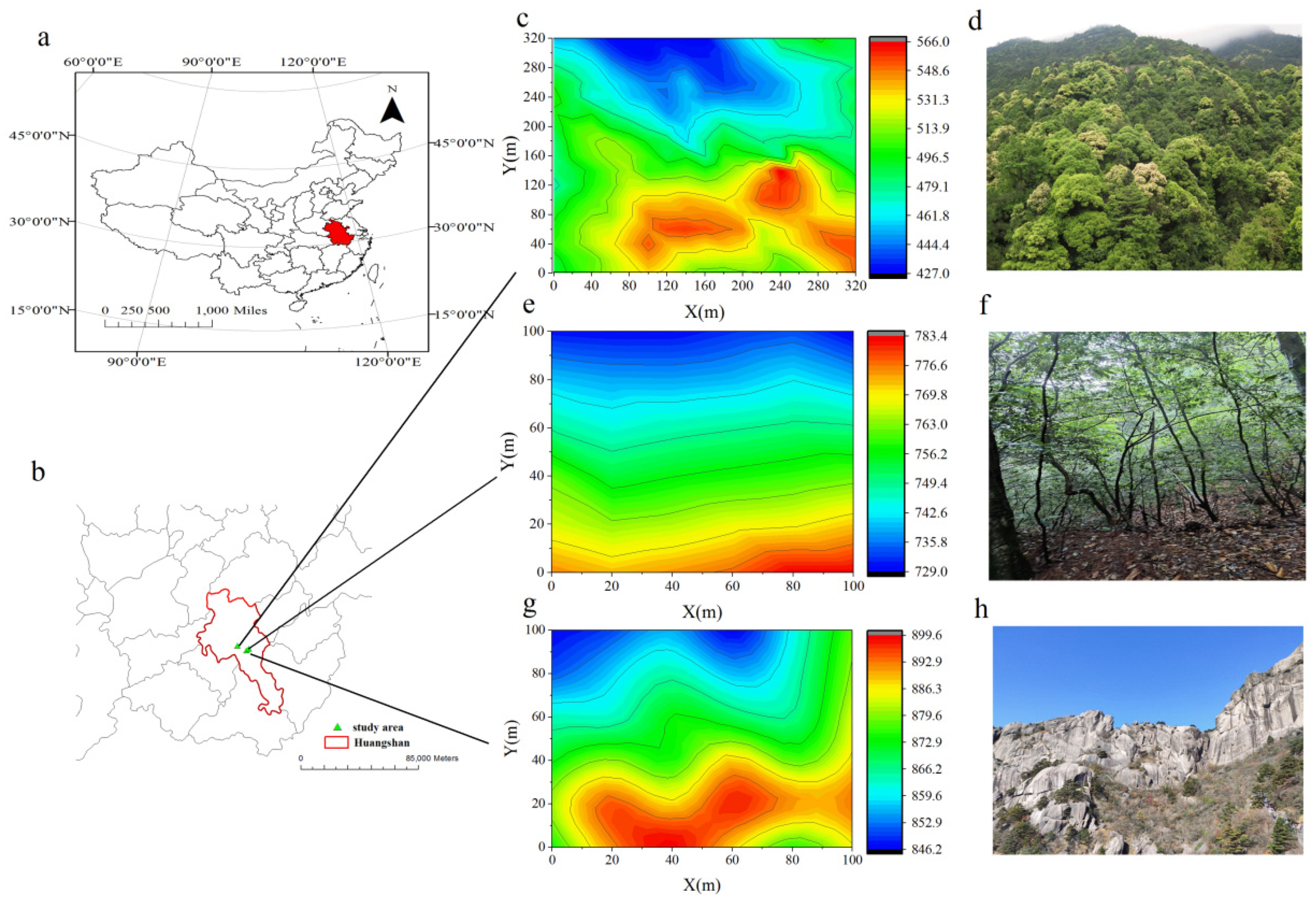 Forests 13 00133 g001 550