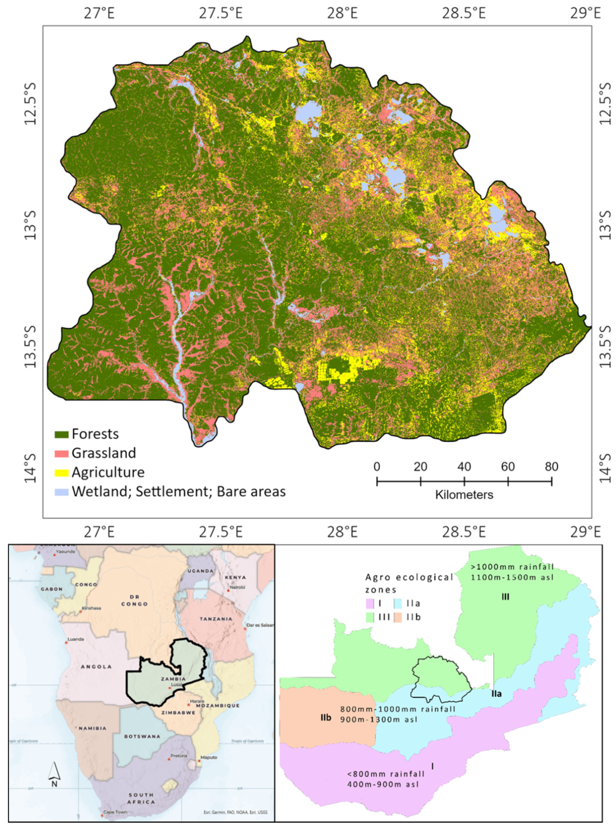 Forests 13 00134 g001 550