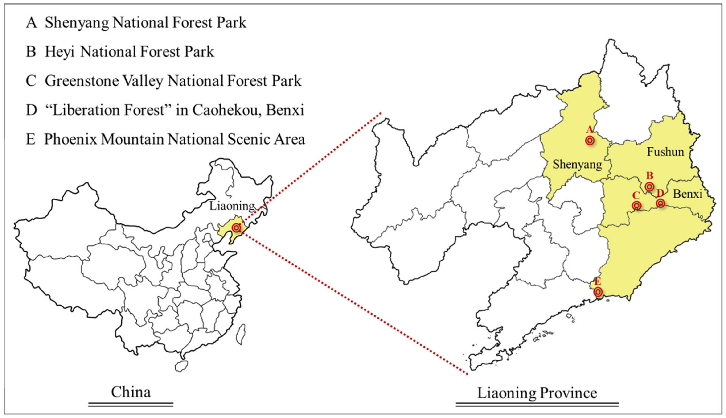 Forests Free Full-Text Psychological Cognitive Factors Affecting Visual Behavior and Satisfaction Preference for Forest Recreation Space pic