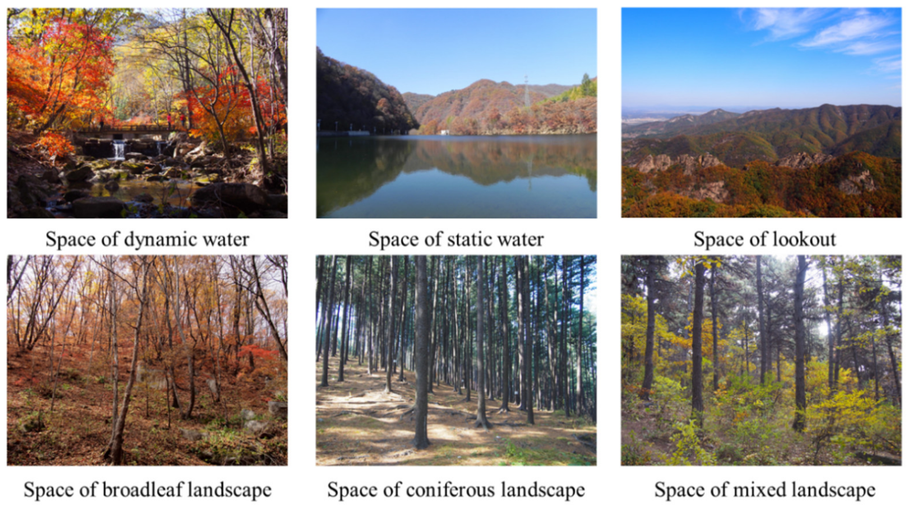 Forests 13 00136 g002 Forests 13 00136 g002